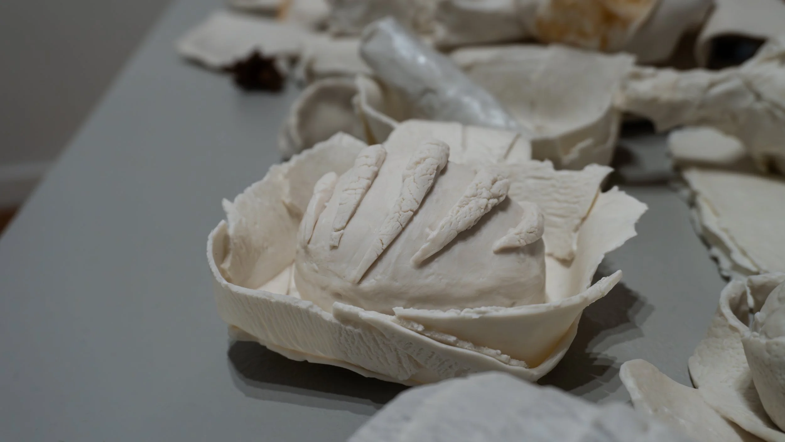 FRAGMENTS OF HOME (Detail) II 2026