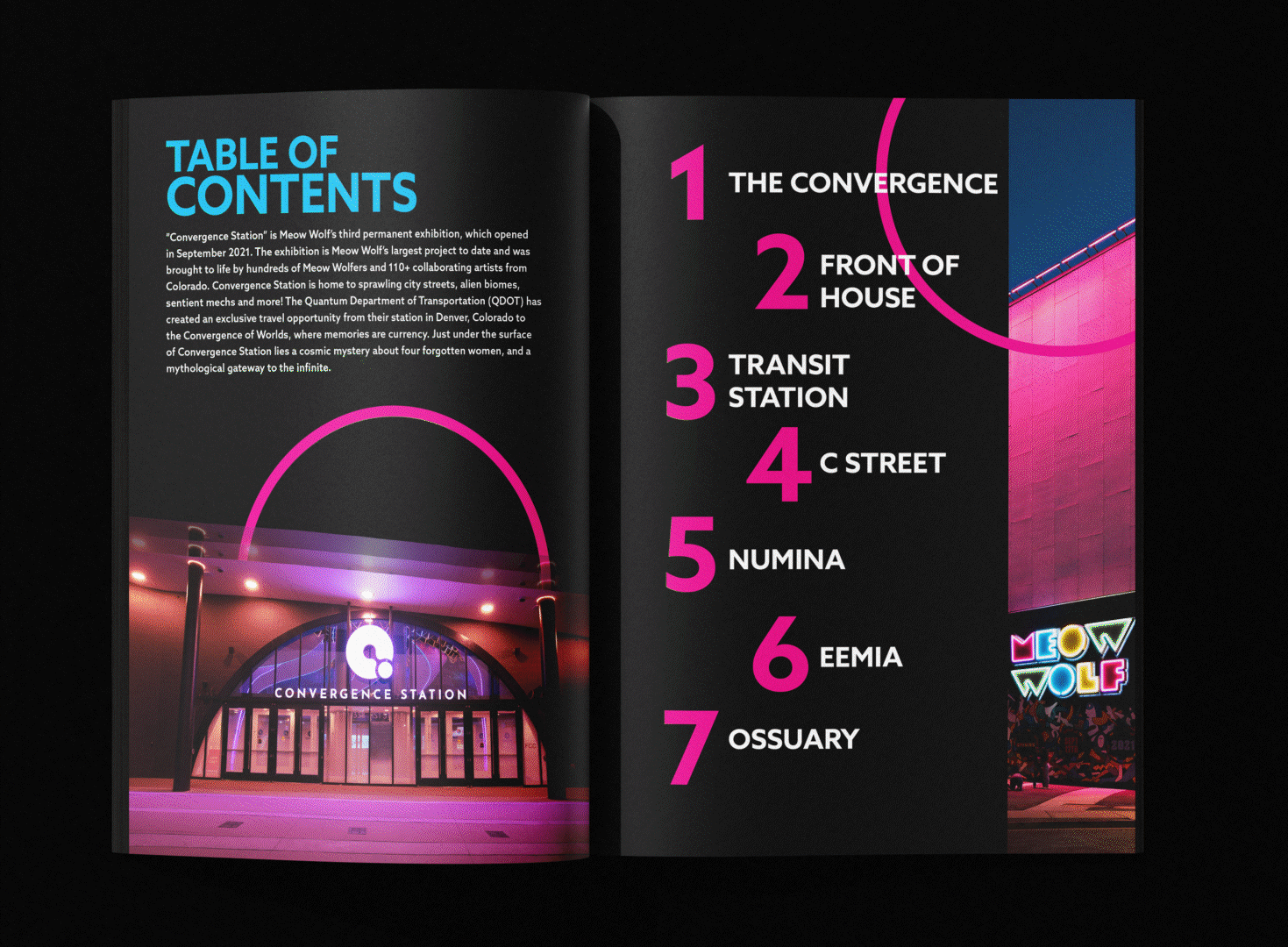 Meow Wolf Zine