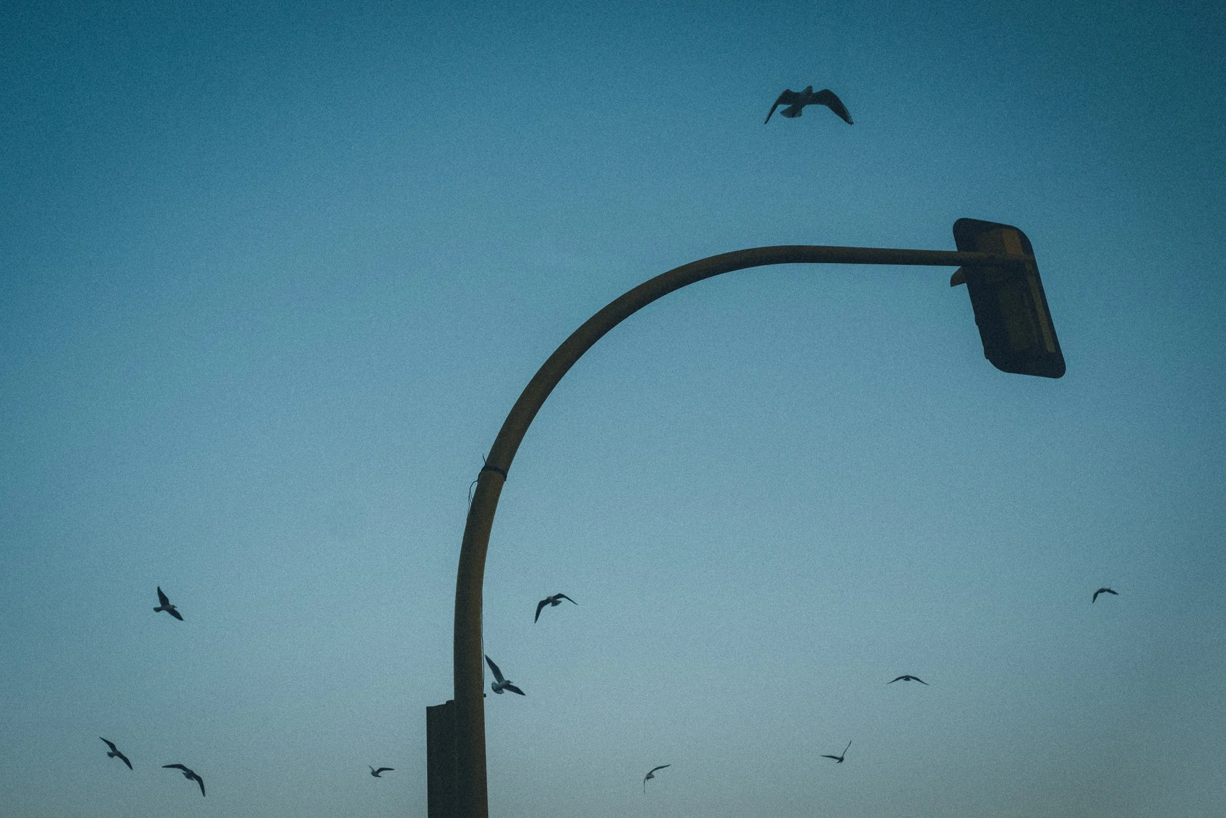 Hendaye dec 2016_4.jpg