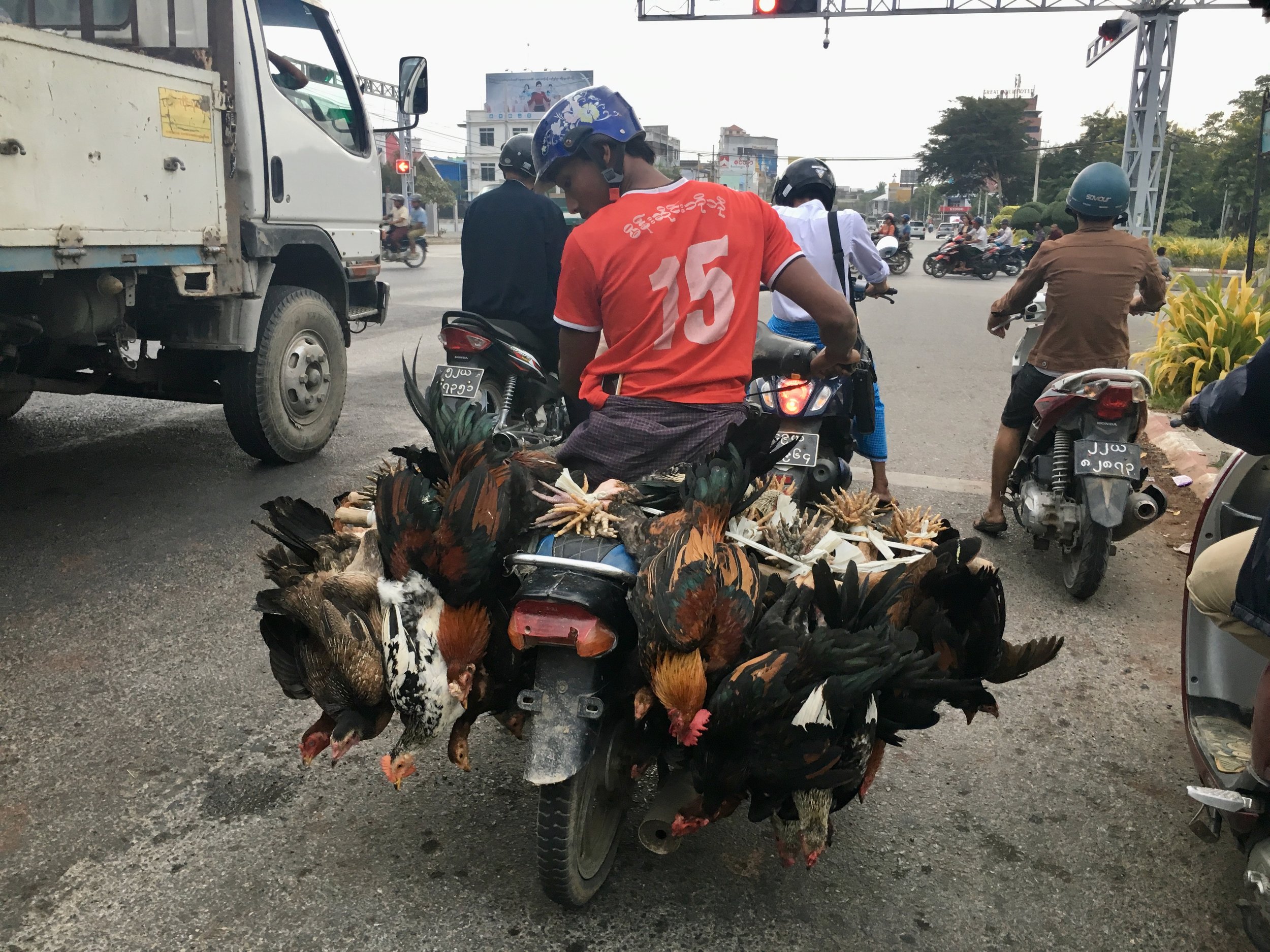 IMG_0499.jpeg
