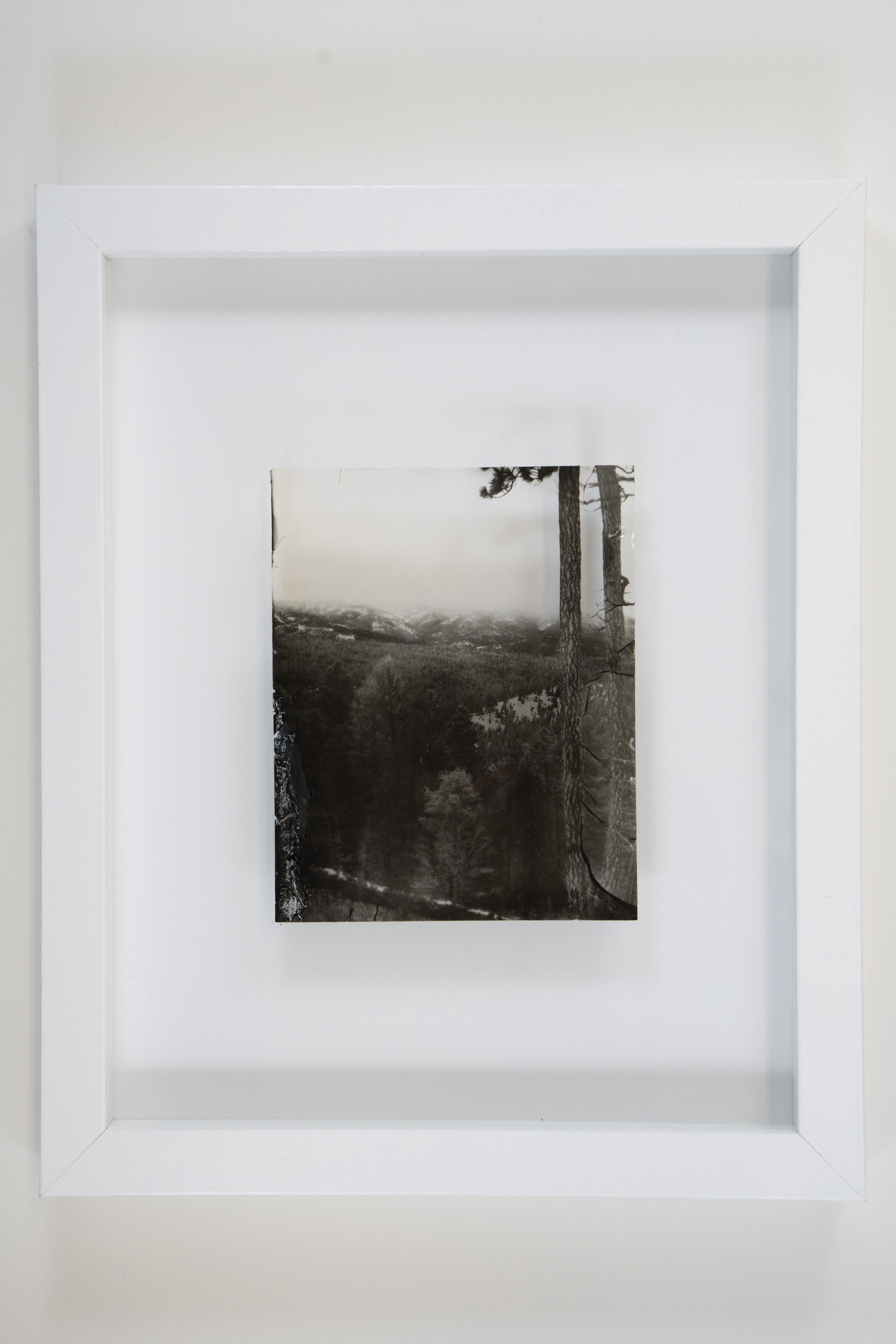 BIRKHOLZ_DAMION_LIQUIDEMULSION_08.jpg