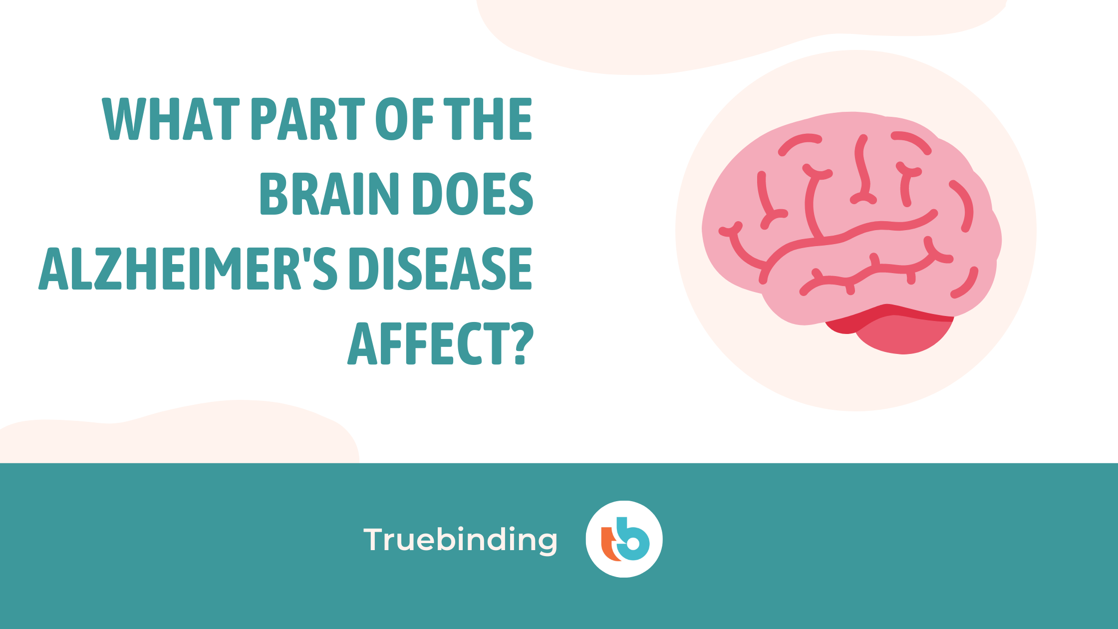 What parts of the brain does Alzheimer's affect?
