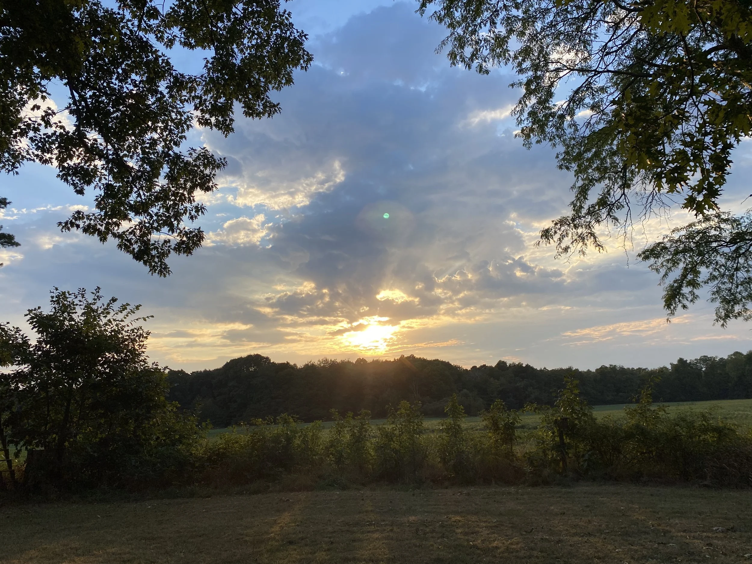 A landscape view of a sky during sunset or sunrise with scattered clouds, framed by the branches of trees with green leaves. The horizon shows a line of trees and greenery, suggesting a rural or park setting.