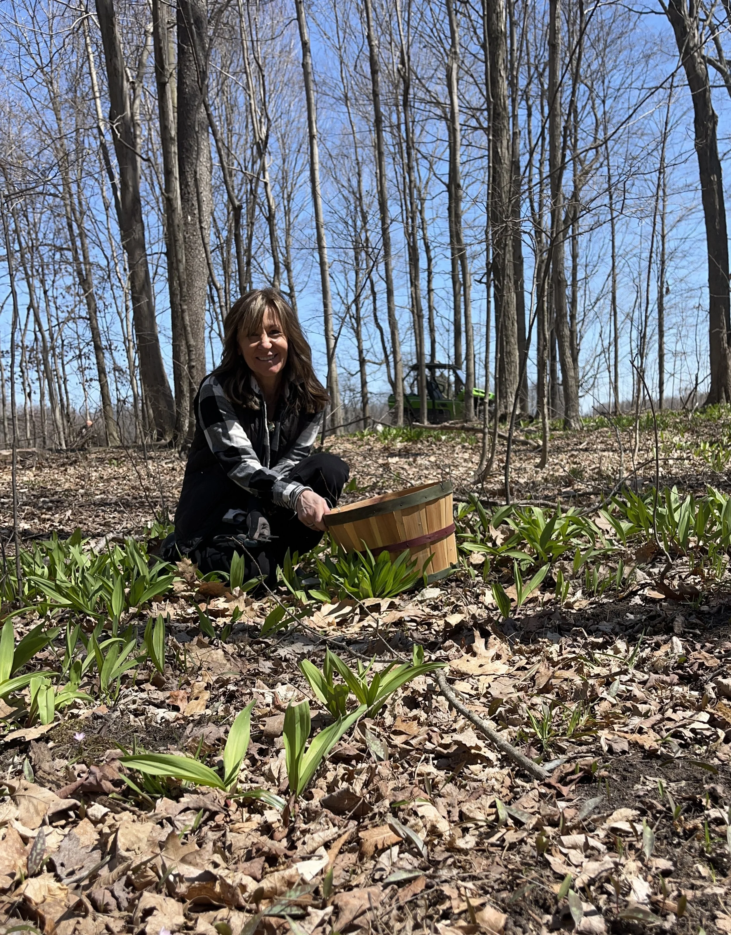 A woman kneeling on the ground in a wooded area, holding a wooden bucket, with a tractor in the background and young green plants sprouting on the forest floor, during daytime with a blue sky.