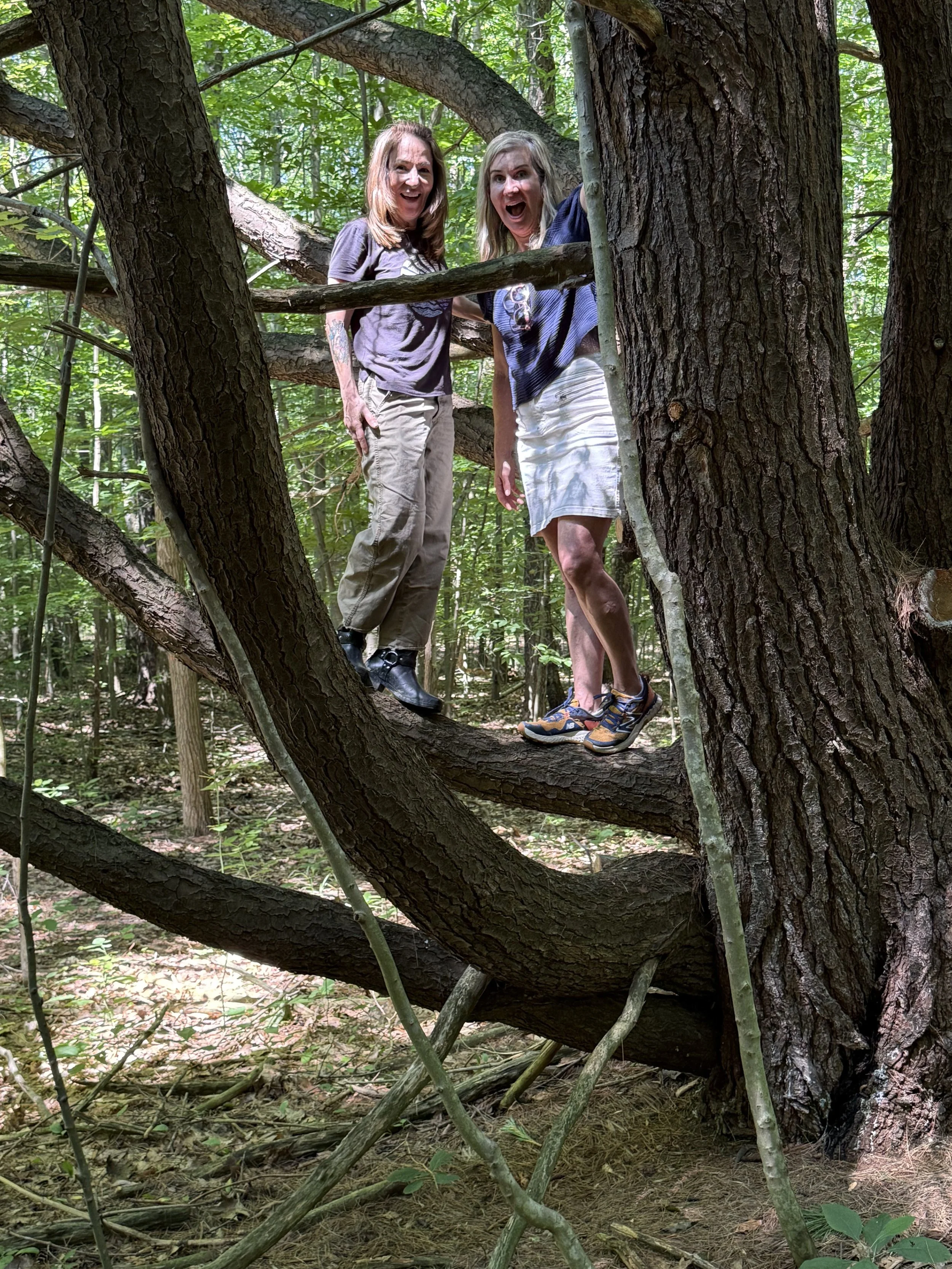 Two women are standing inside a large tree with wide branches in a forest, smiling and posing for the camera.