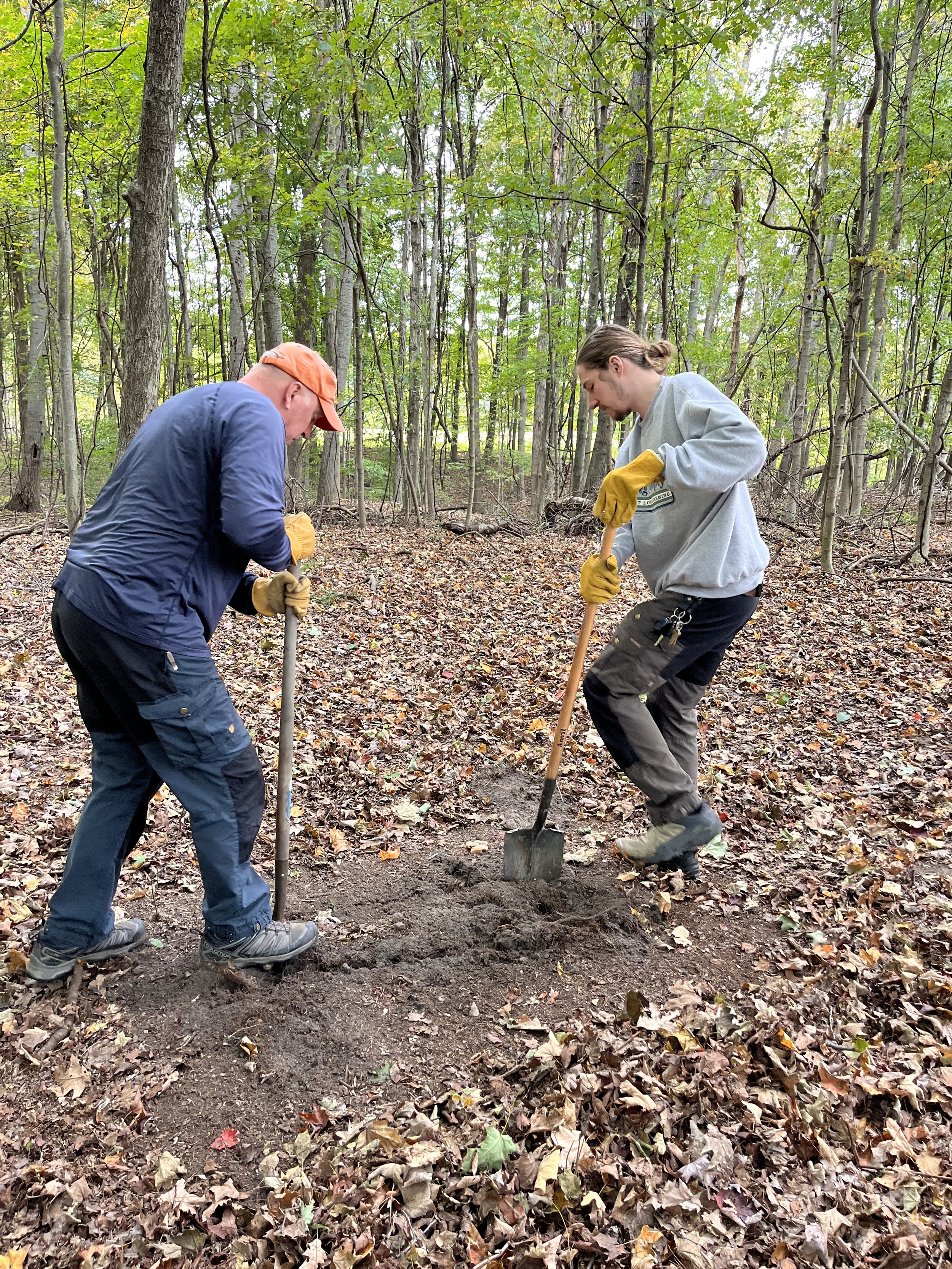 Two men planting a tree in a wooded area, using shovels and wearing gloves.