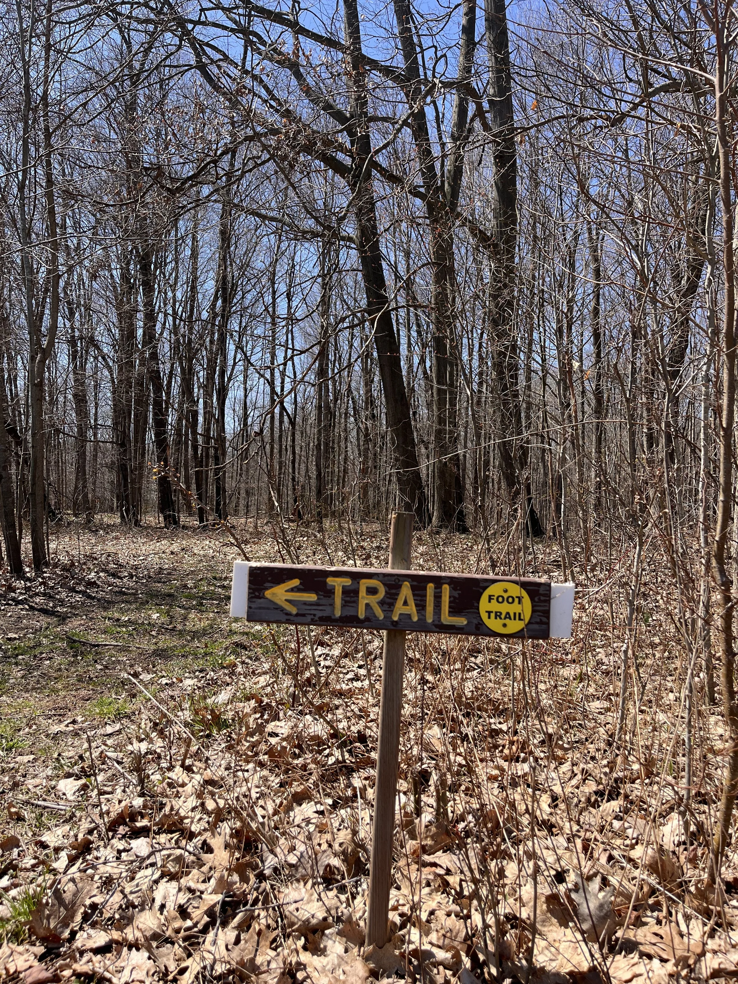 Wooden trail sign with yellow arrow pointing left that reads 'TRAIL' and a yellow circle indicating foot trail, situated in a leaf-filled forest.