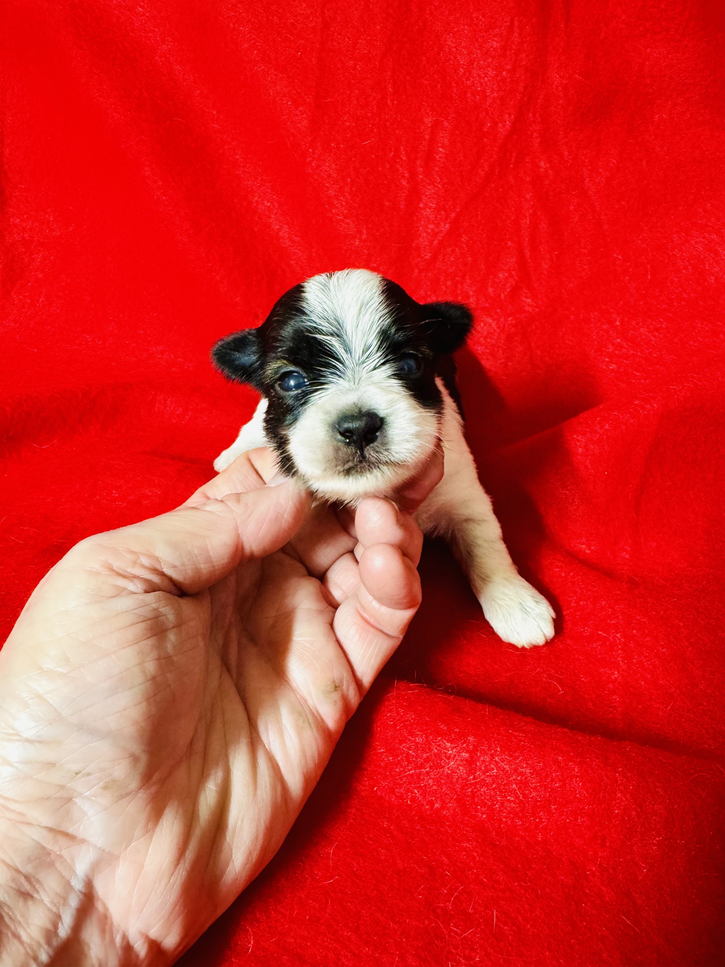 black and white.jpeg