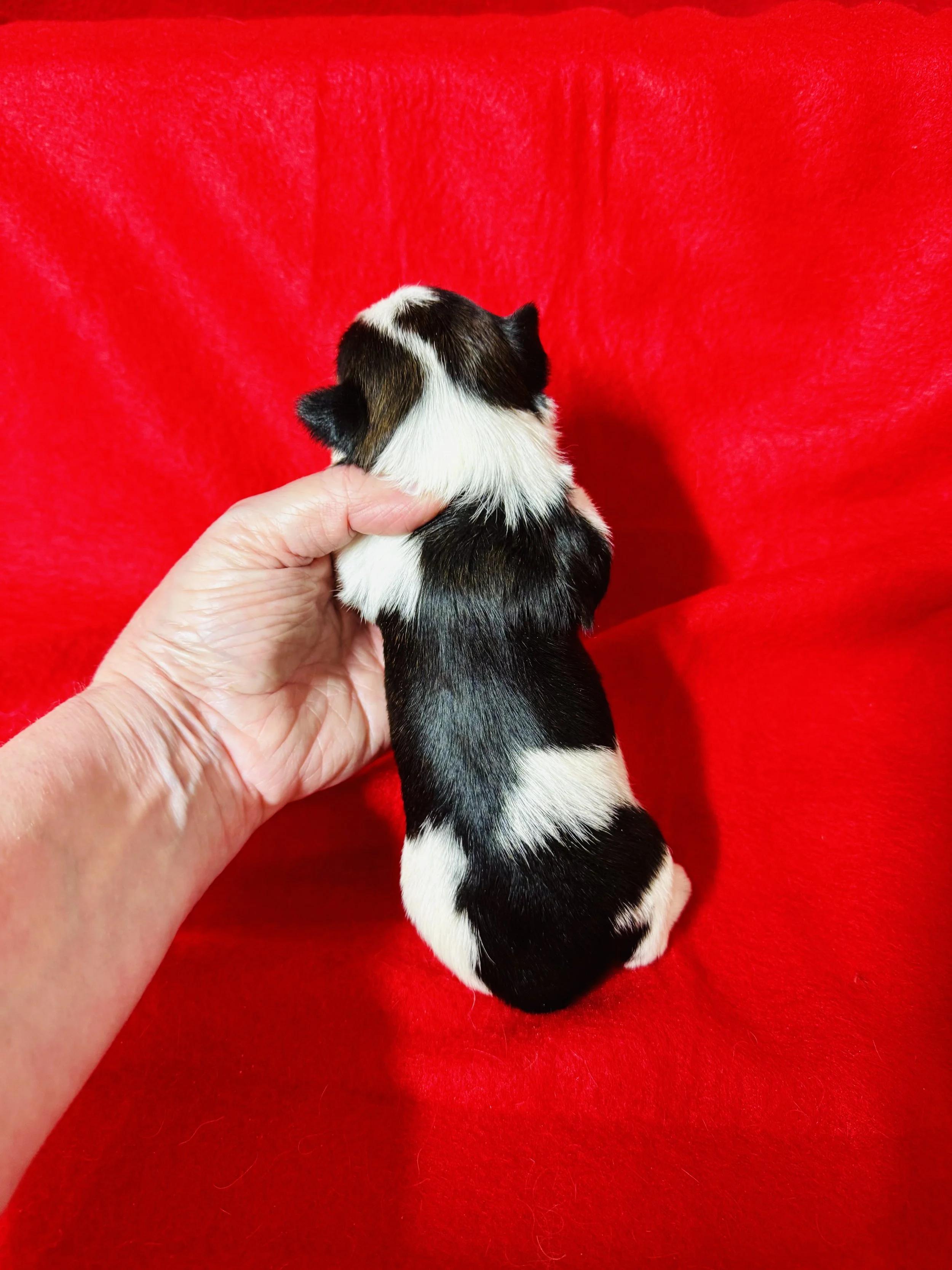 #2 black and white.jpeg