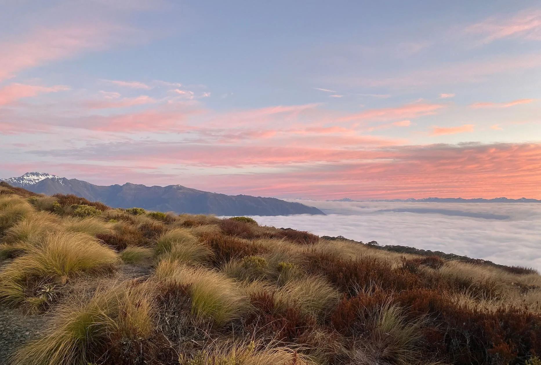 PRIZE DRAW WINNERS! The winners of 3 months of 1:1 Kepler Challenge and Luxmore Grunt Mountain Run coaching are Nicole Hawkes on Facebook, and @_analysis_paralysis_ on Instagram. Congratulations! Check your DMs for information  on how we kick off you