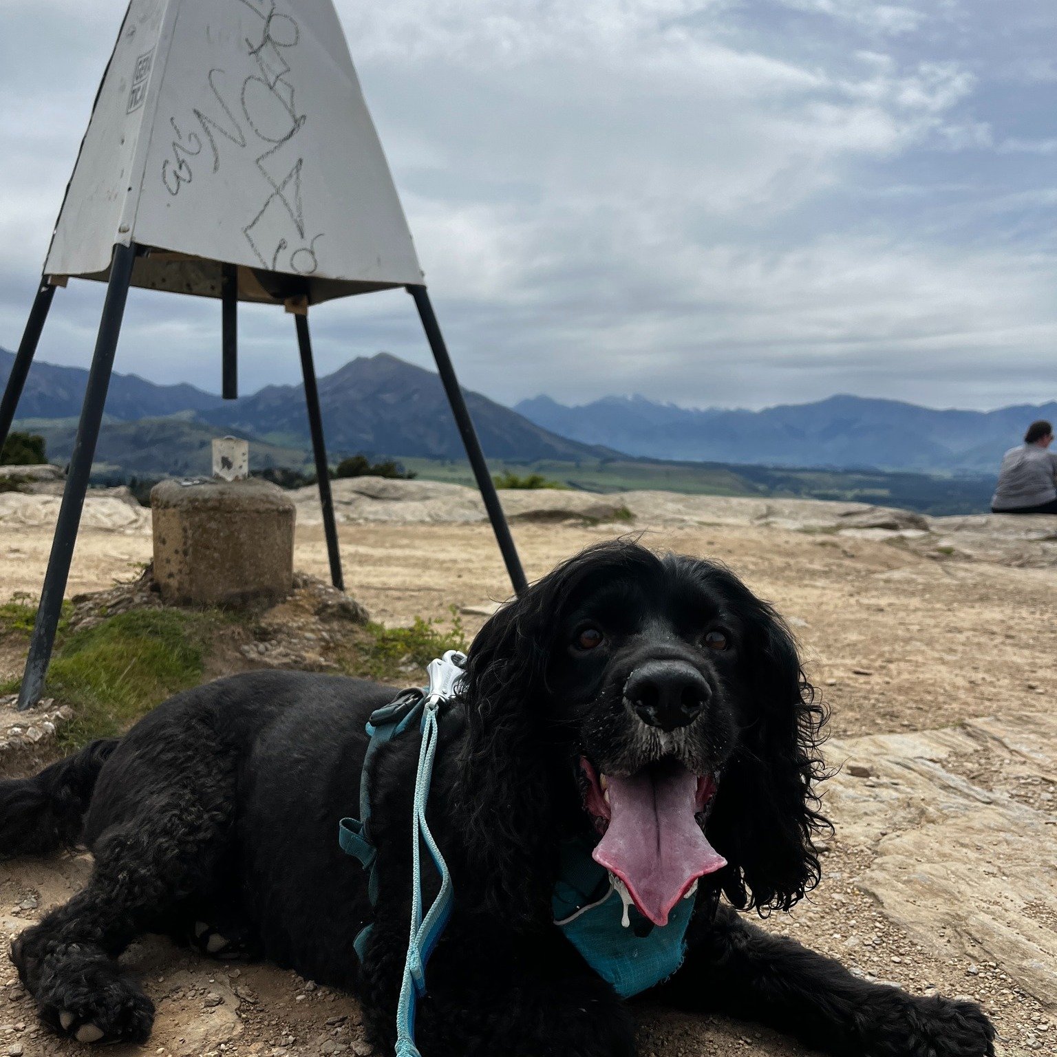 Where did you run this weekend? Aside from Queenstown Marathon, we were knocking off some more peaks in the @furtherfasternz  Otago Mountain Dog Challenge!