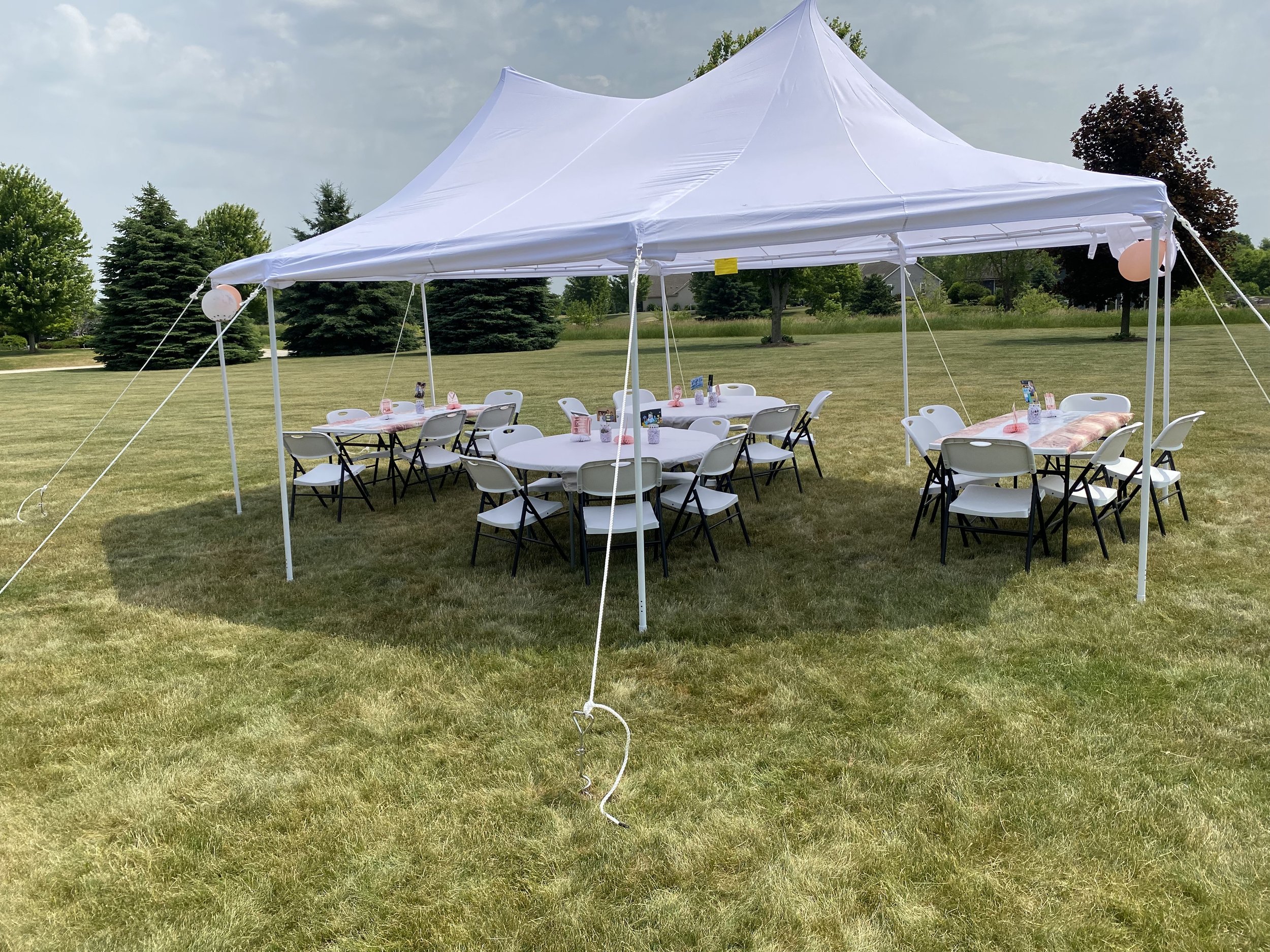 Outdoor event tent with round tables and chairs set on a grassy field, decorated with pink tablecloths and balloons, surrounded by trees.