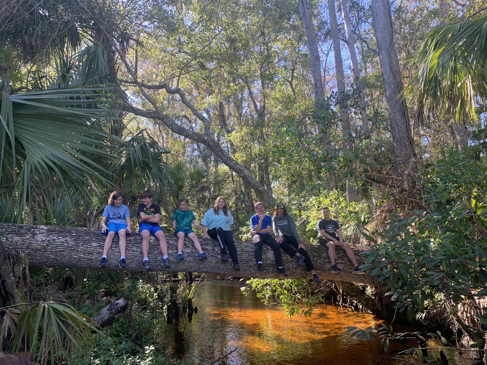 Lake Mills Park