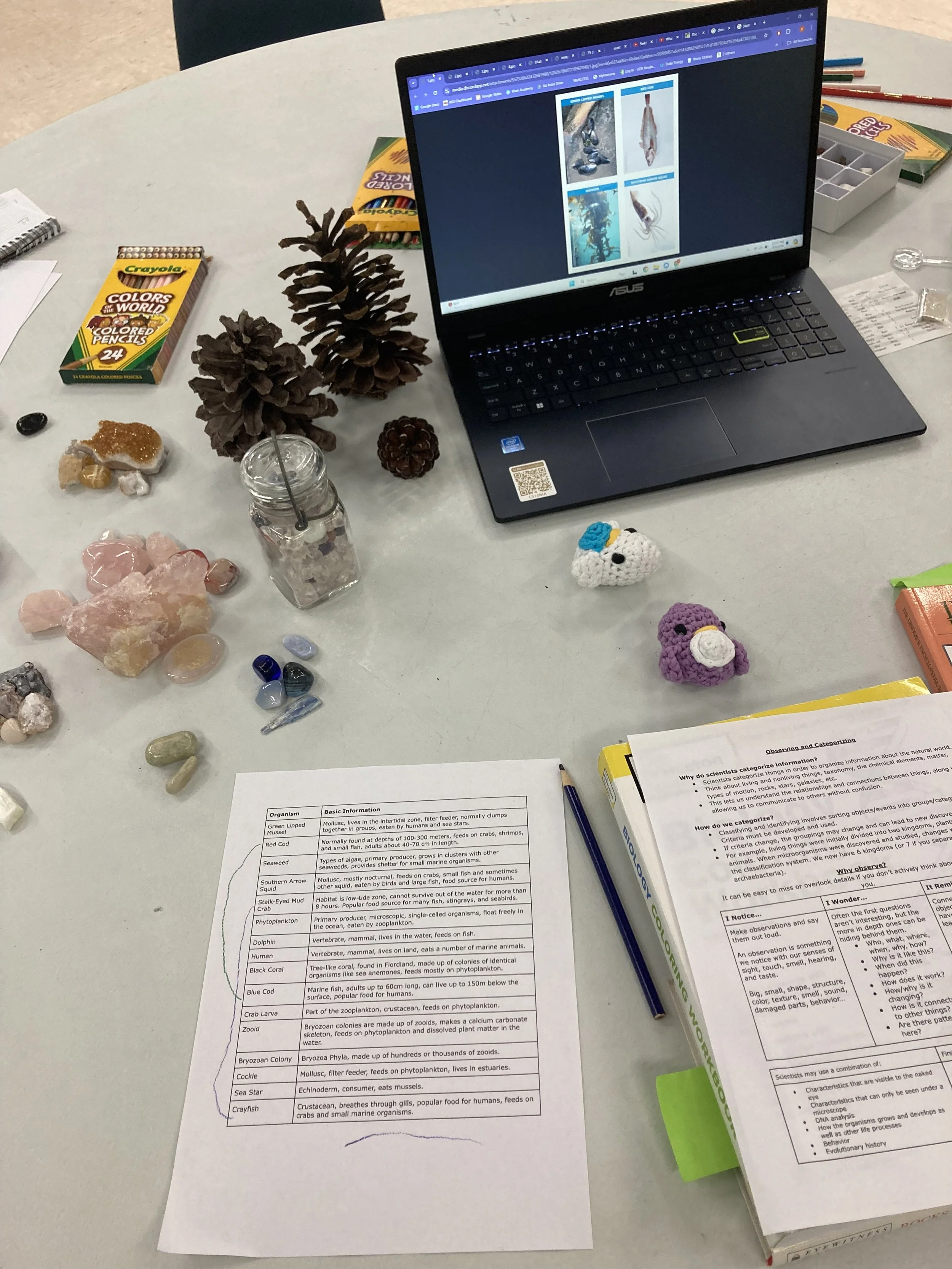 A table with a laptop displaying images, various stones, pinecones, a crochet object, and educational papers. Crayola colored pencils and a jar with rocks are also present, suggesting a learning or crafts session.