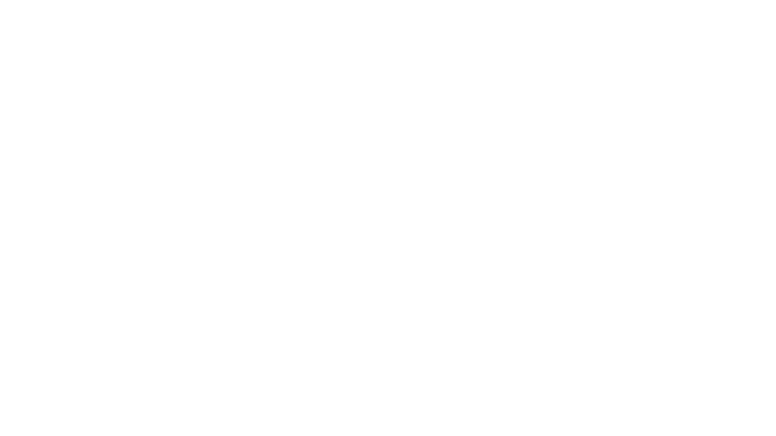 Balmain-Logo.png
