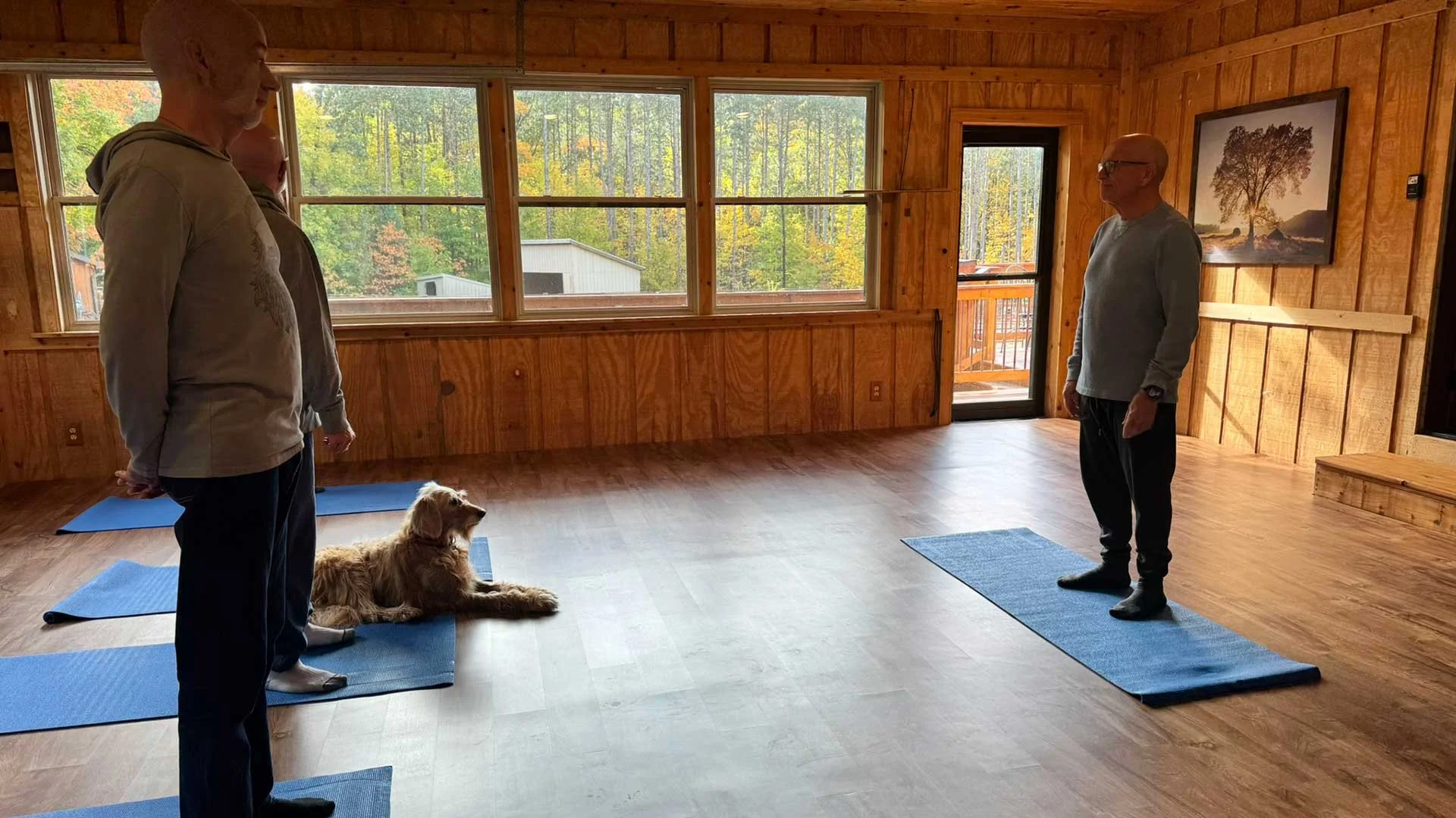 7oaks_ranch_retreat_yoga_studio.jpg