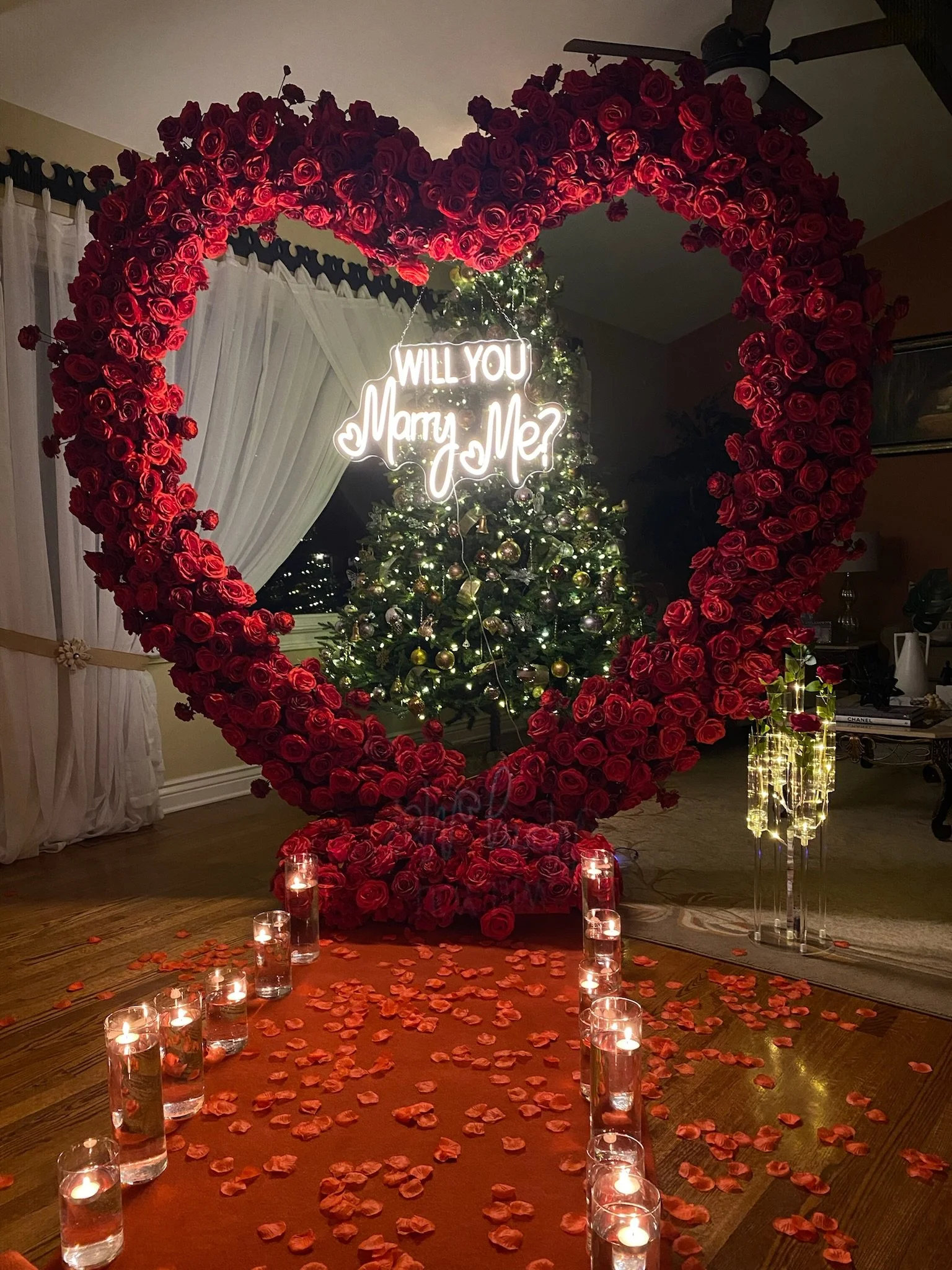 Christmas Proposal Glenview