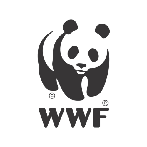 WWFtranslogo2.png