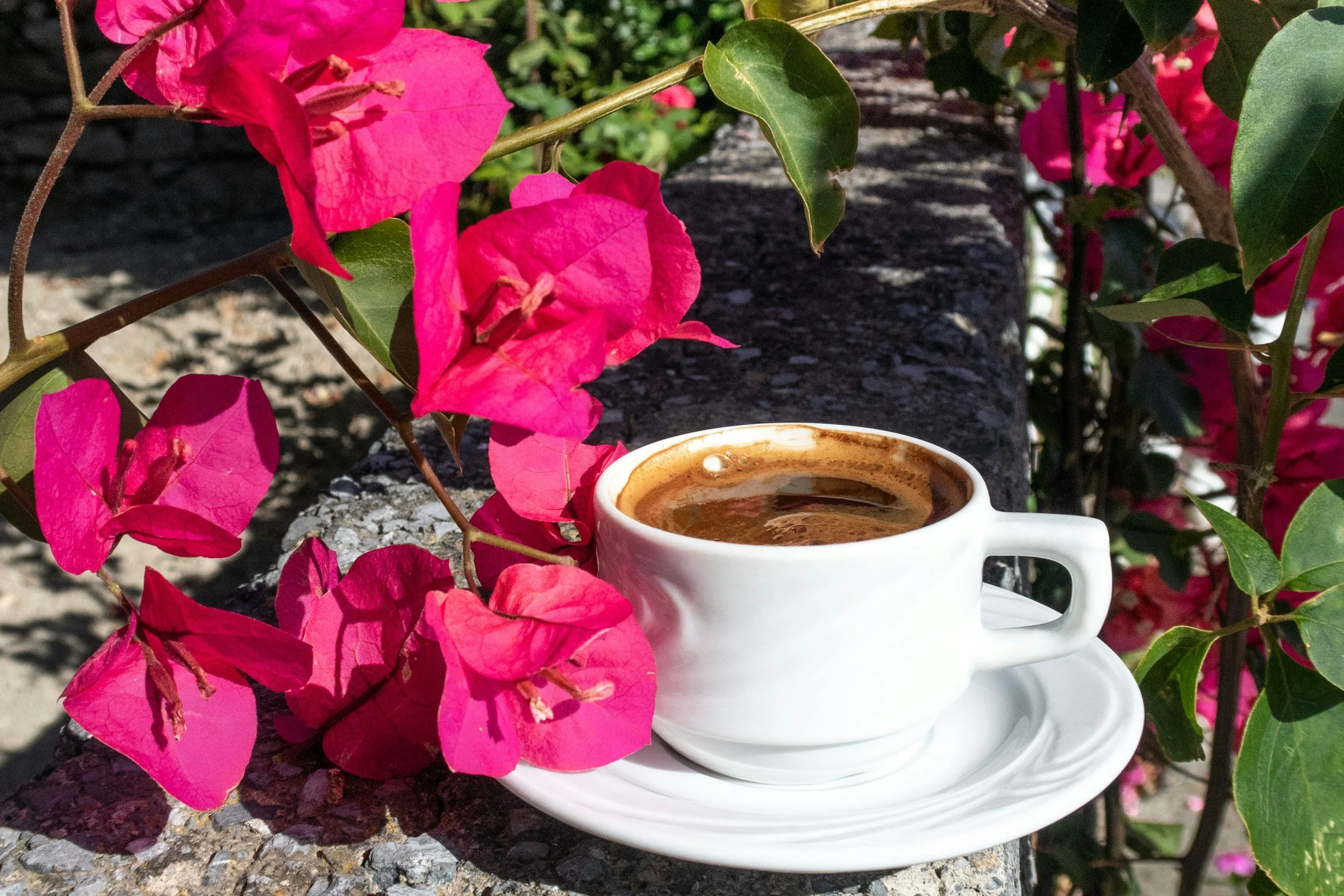 A white cup of black coffee placed on a matching saucer outdoors, surrounded by pink bougainvillea flowers and green leaves on a stone ledge.