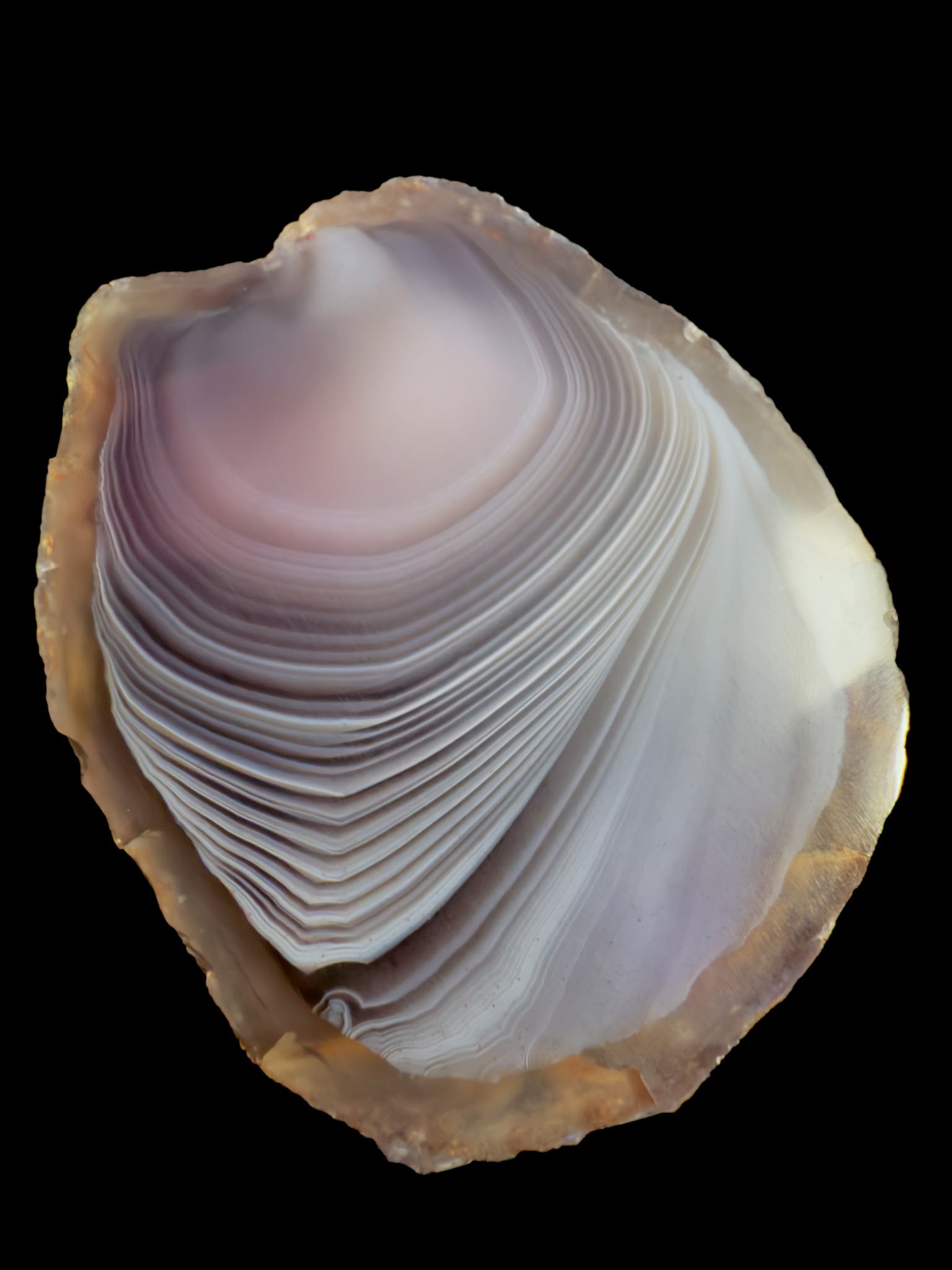 29FAA6E5-2C1E-4A2A-8EC4-A1D1765FC3F6.jpeg