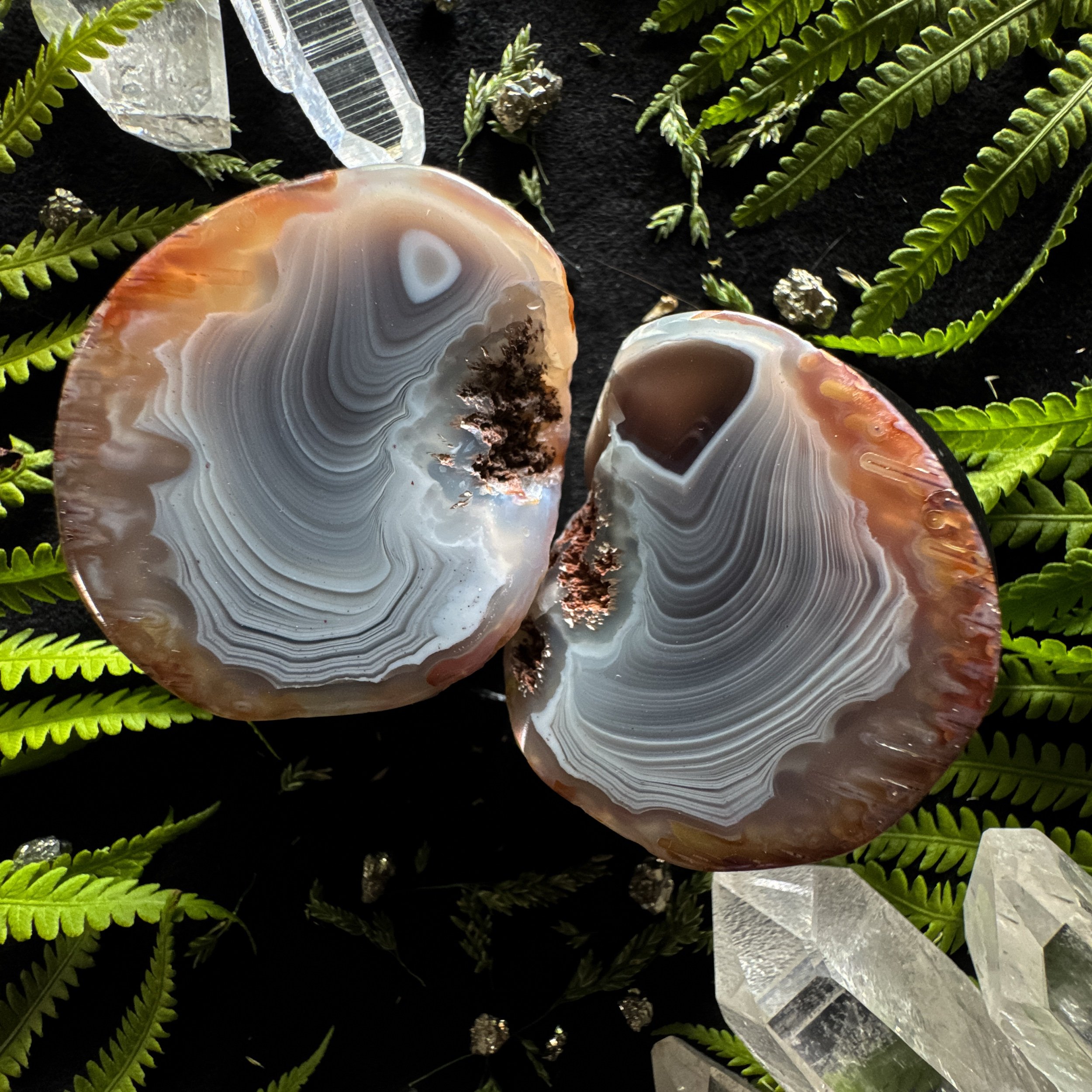Botswana Agate Polished Specimen