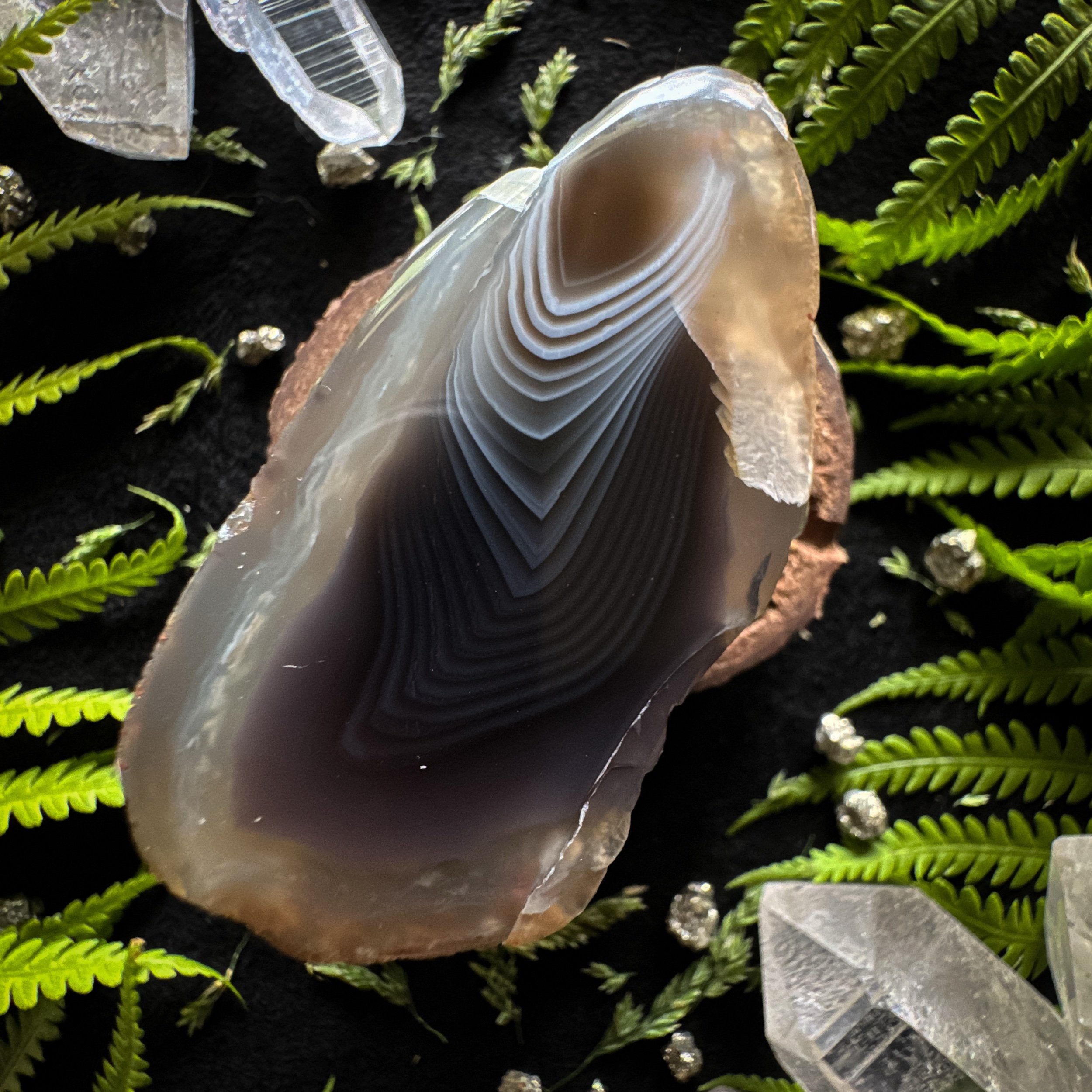 Botswana Agate Polished Specimen