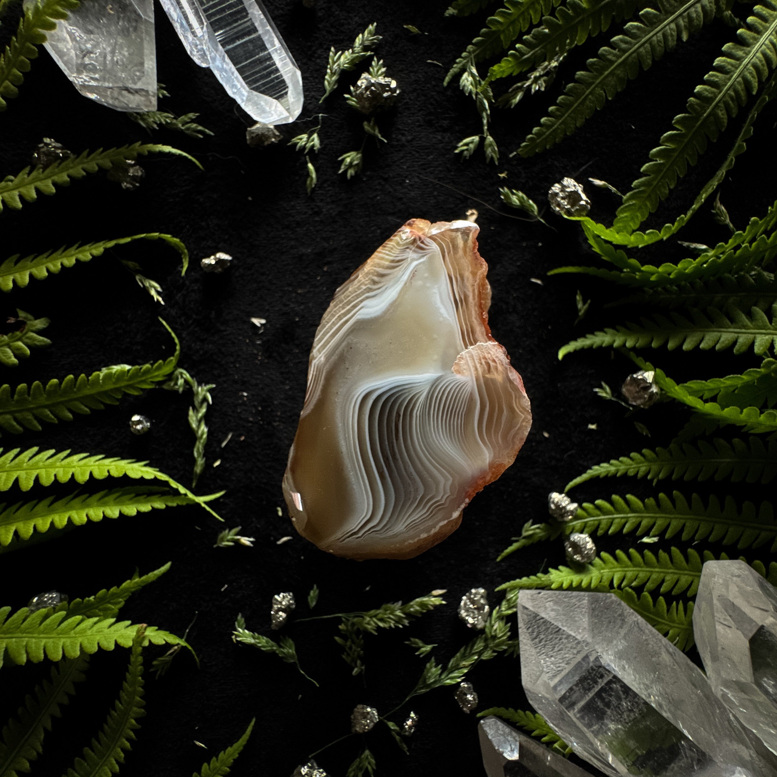 194BF003-F714-4DB2-8F13-F9A58237E970.jpeg