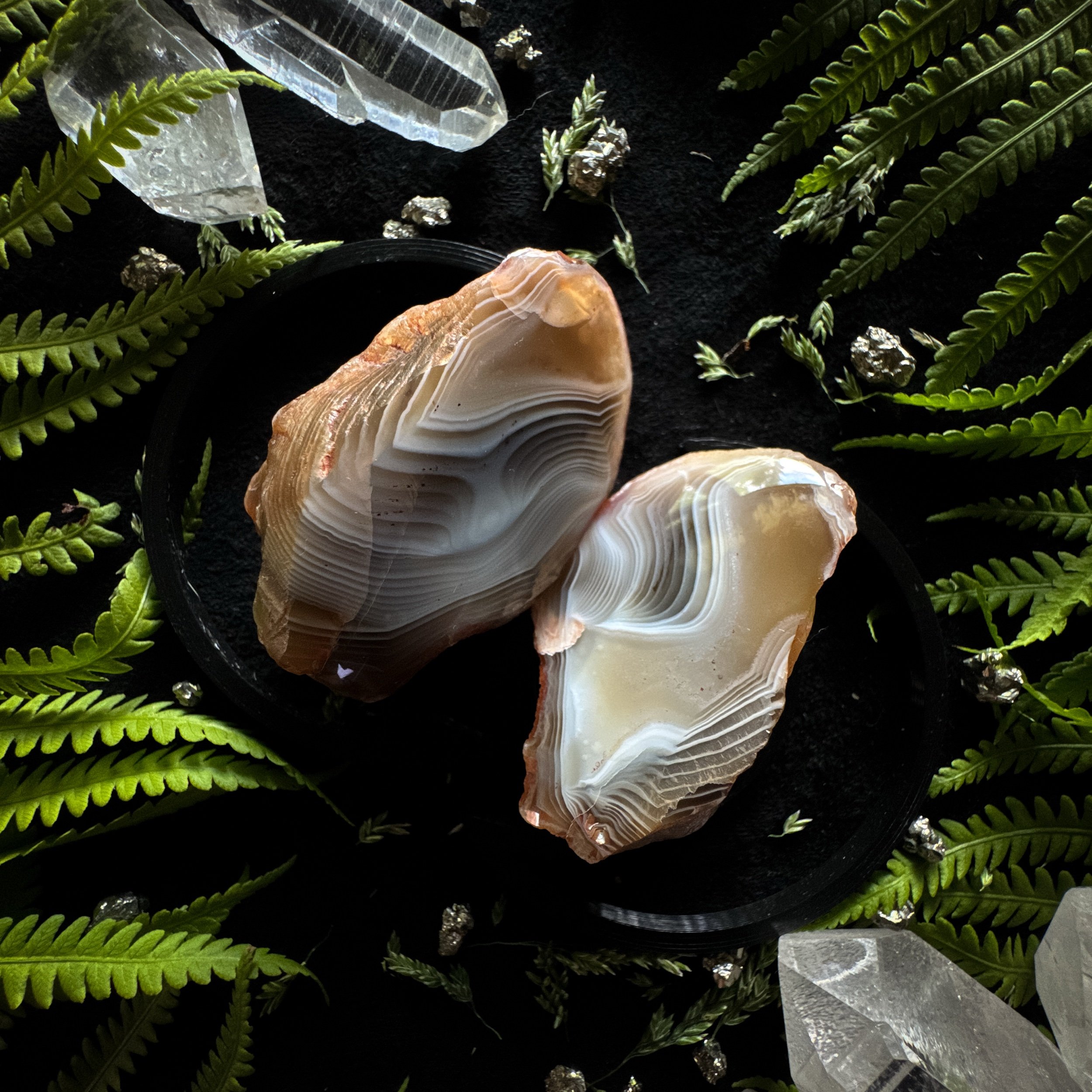 Botswana Agate Polished Specimen