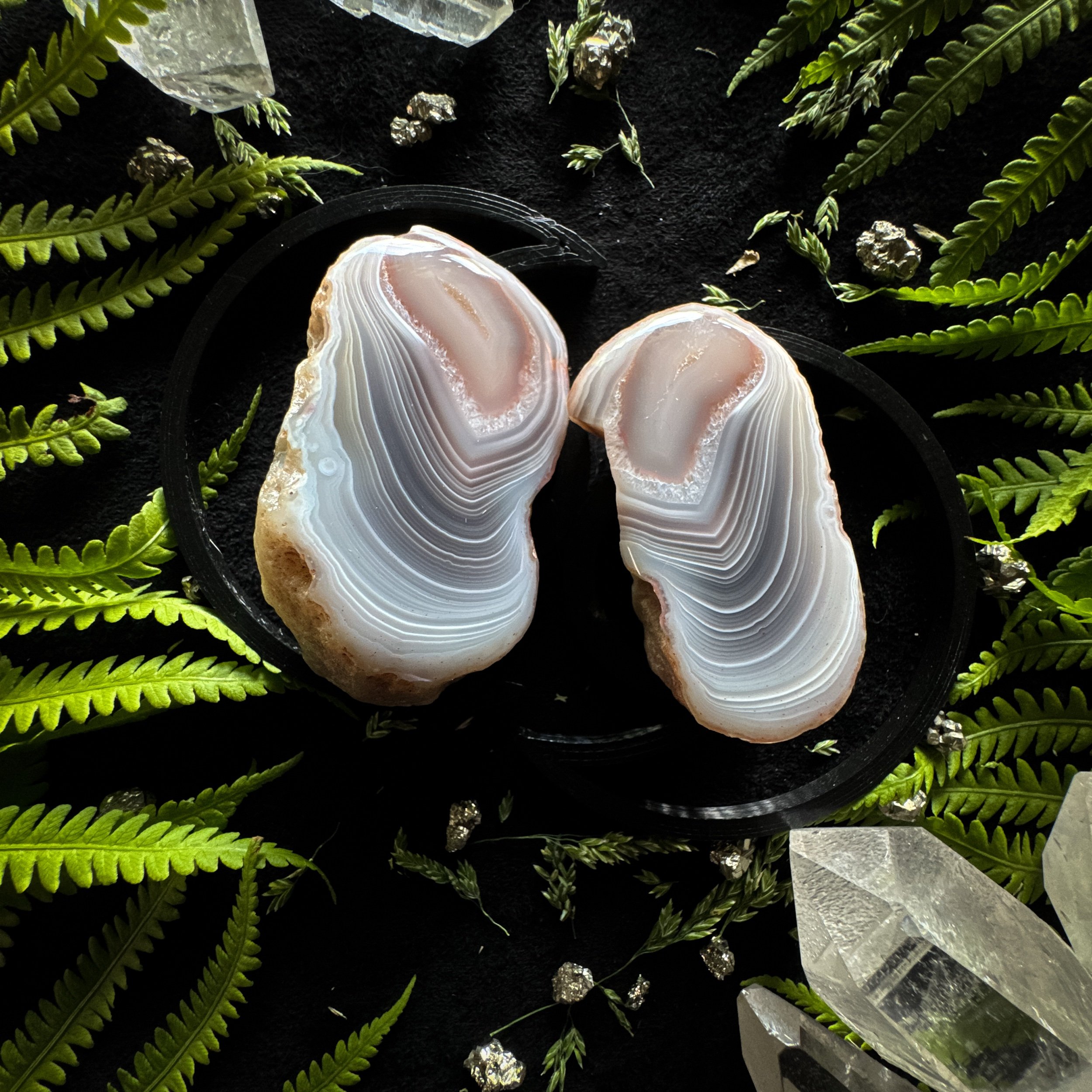 Botswana Agate Polished Specimen