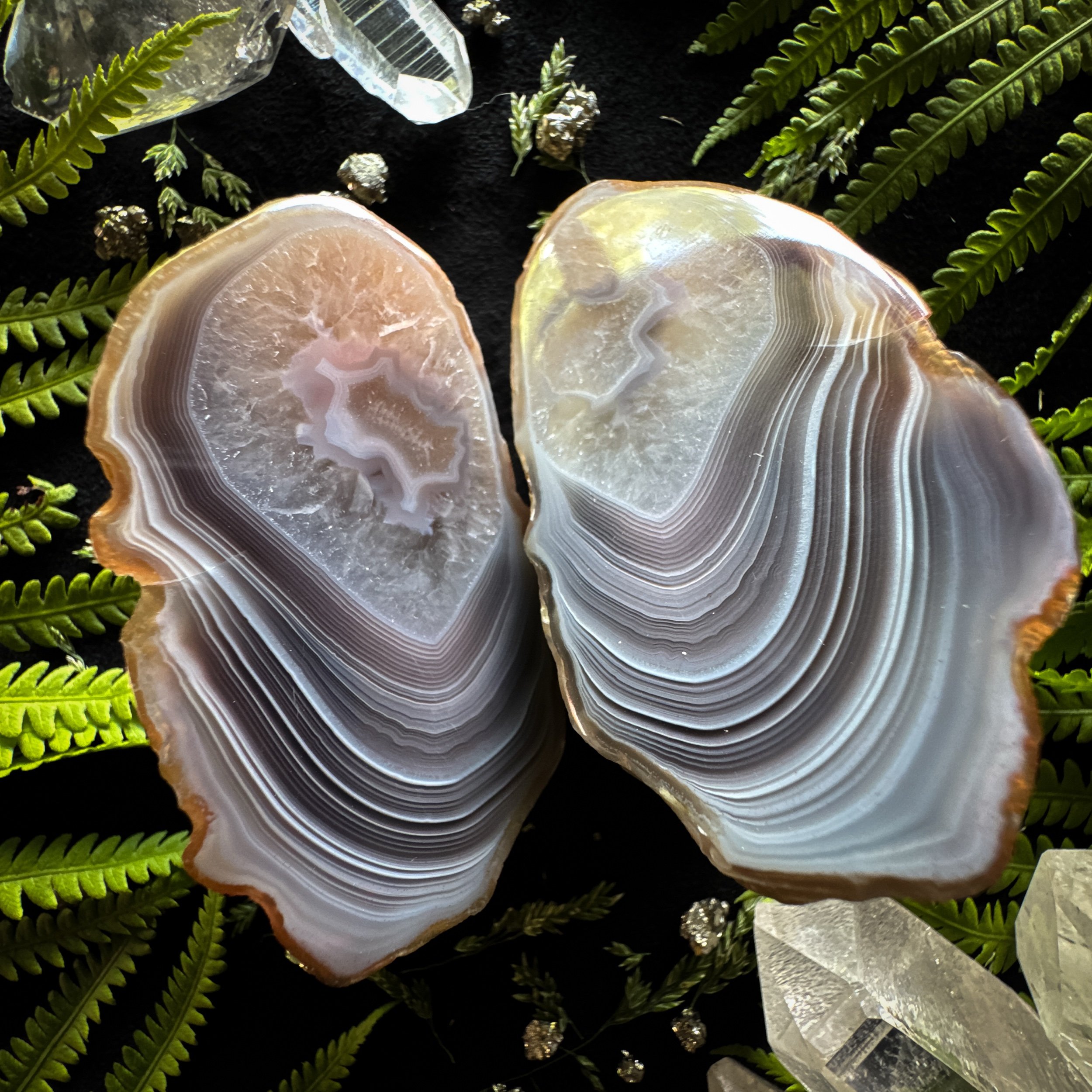 Botswana Agate Polished Specimen