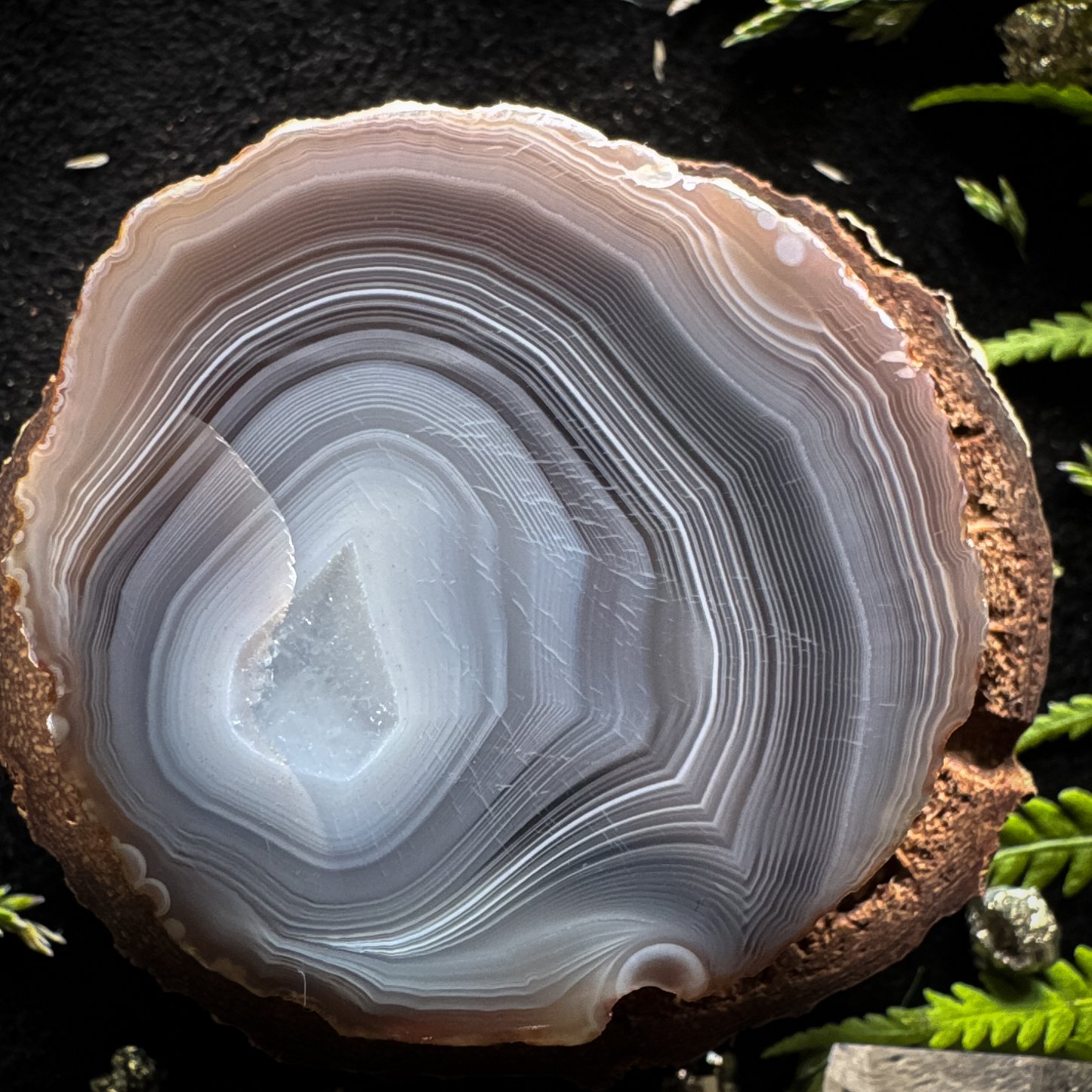 E2C41586-EB33-416B-A0E8-490270A6C116.jpeg