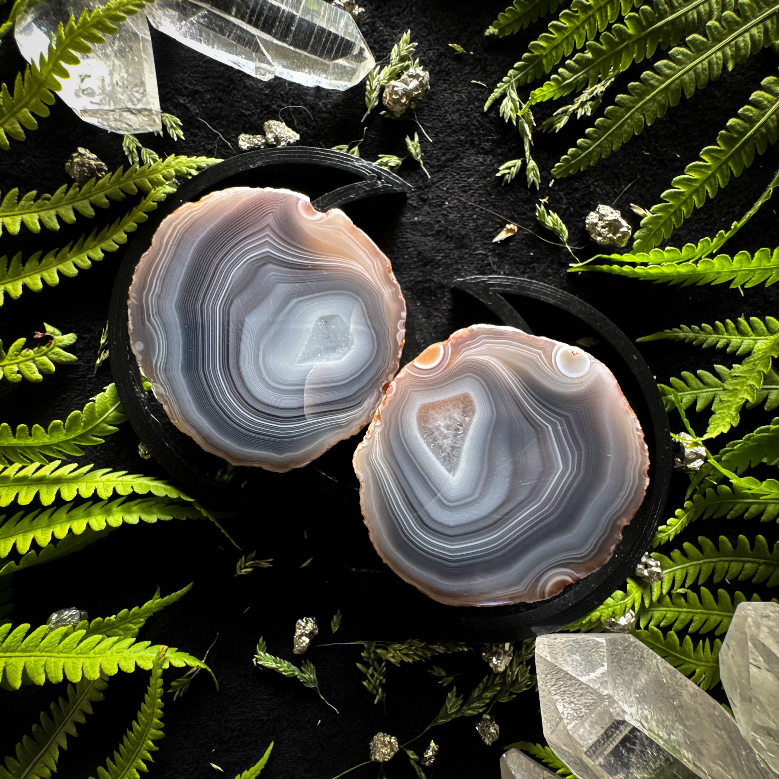 Botswana Agate Polished Specimen