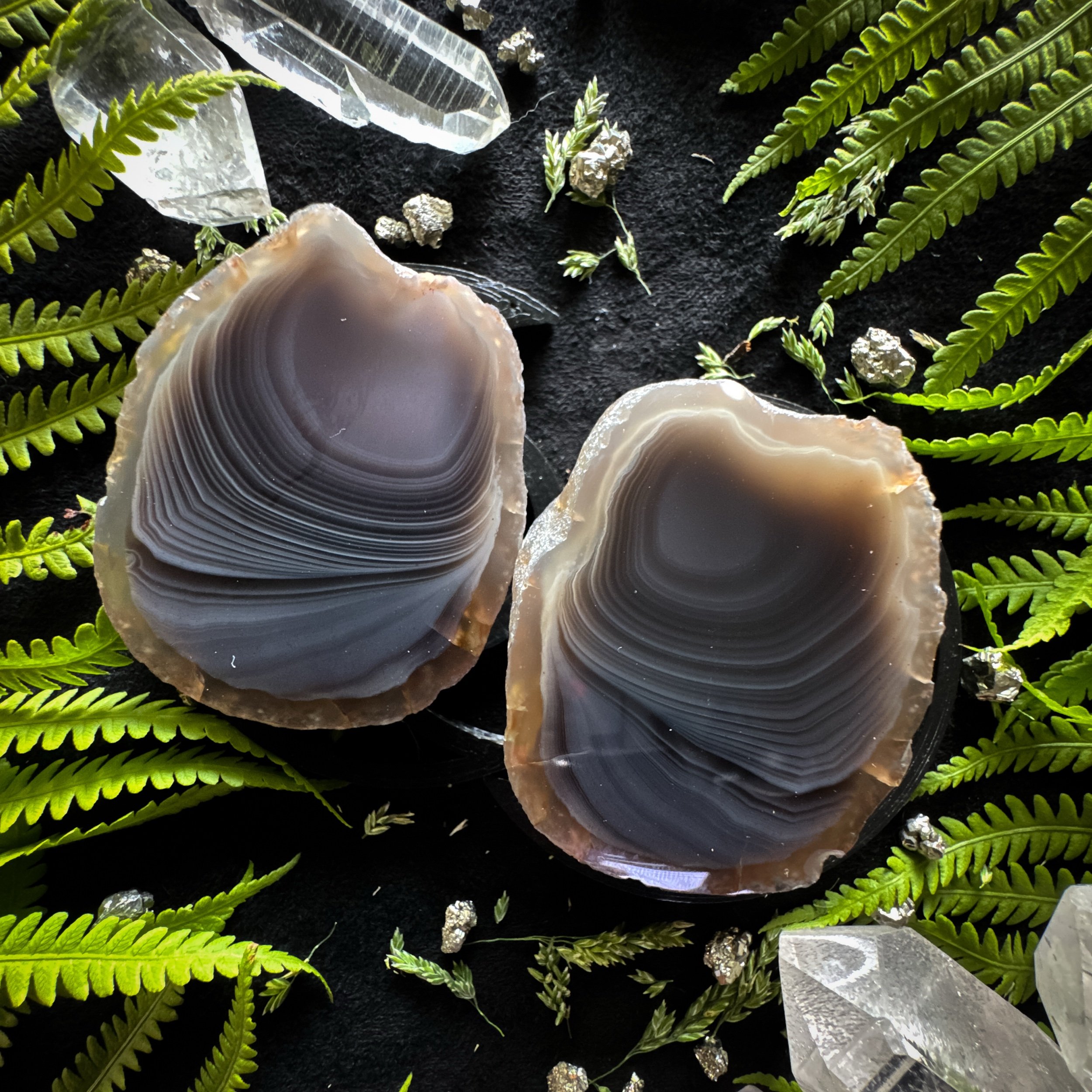 Botswana Agate Polished Specimen