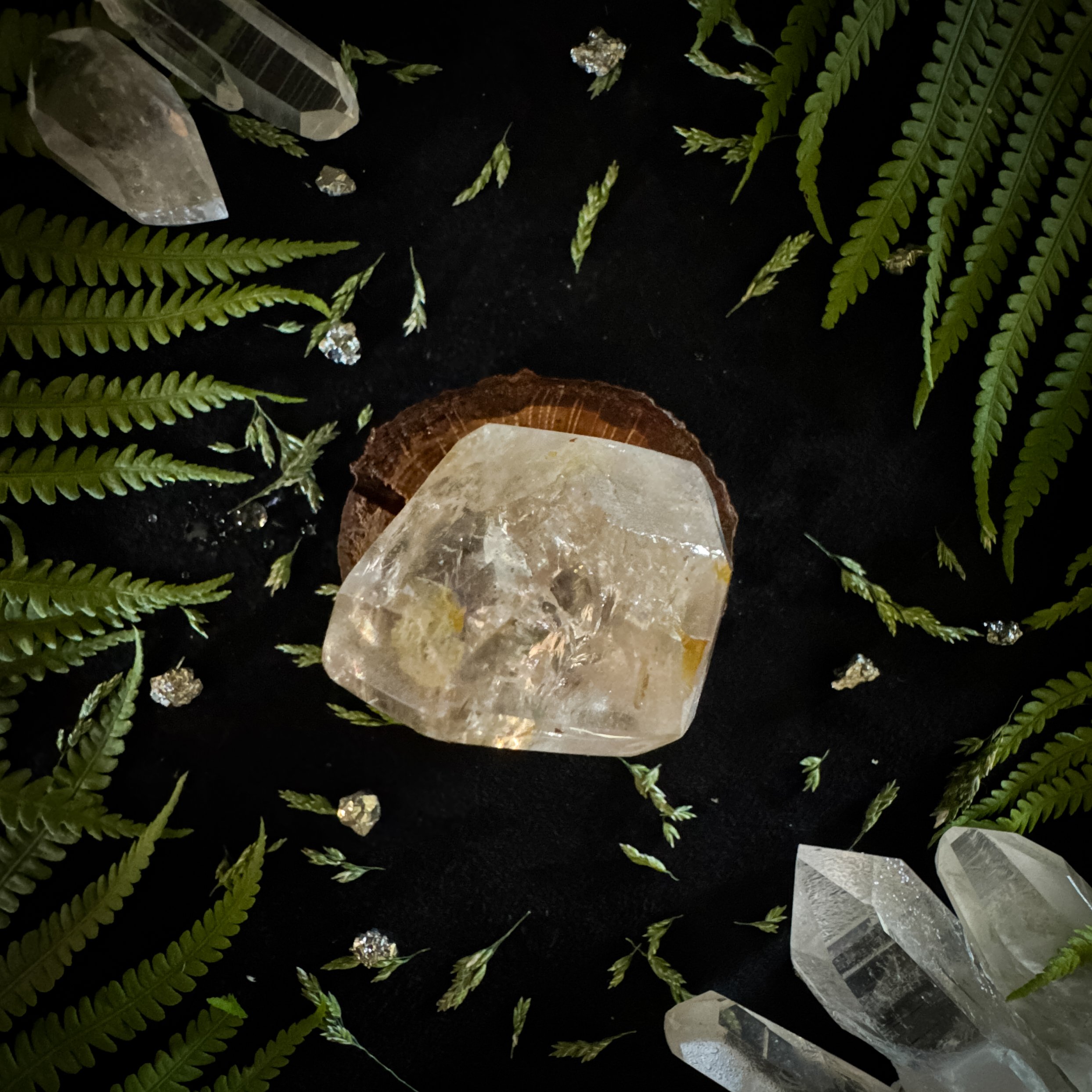 Citrine Freeform (made to order)