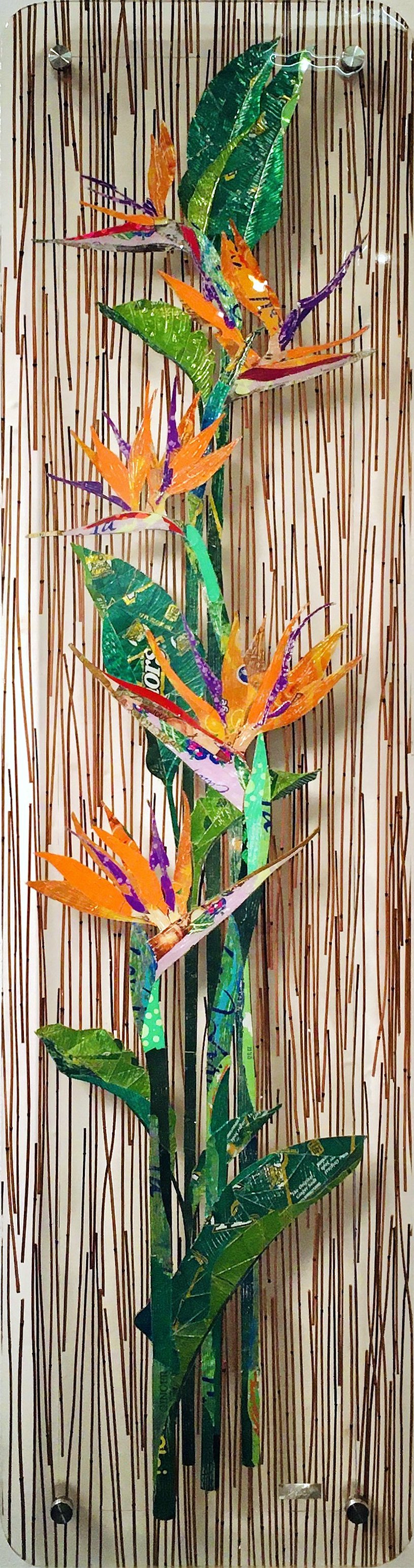 Tropical Pop-Birds.jpeg