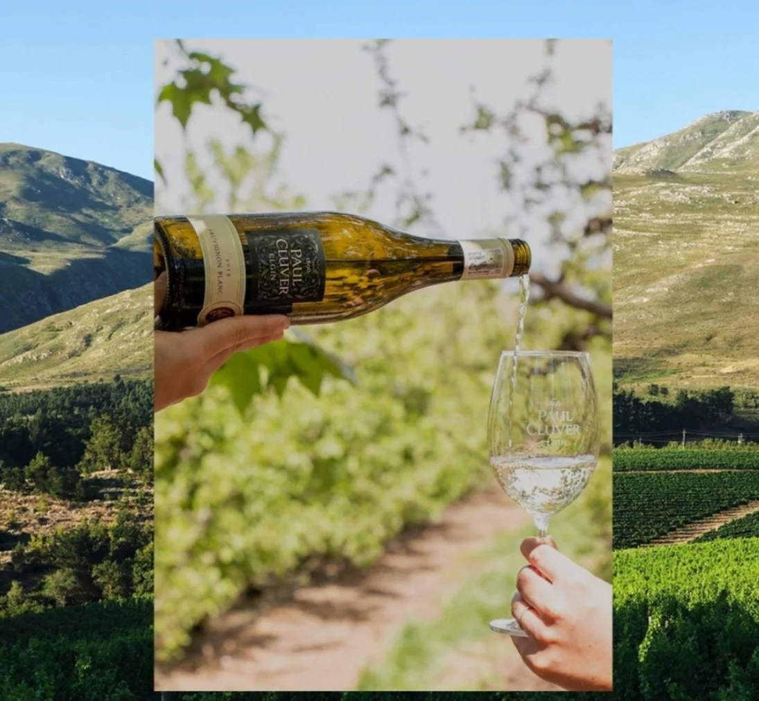A person pouring white wine from a Paul Cluver bottle into a glass, set against a backdrop of vineyards and green hills.