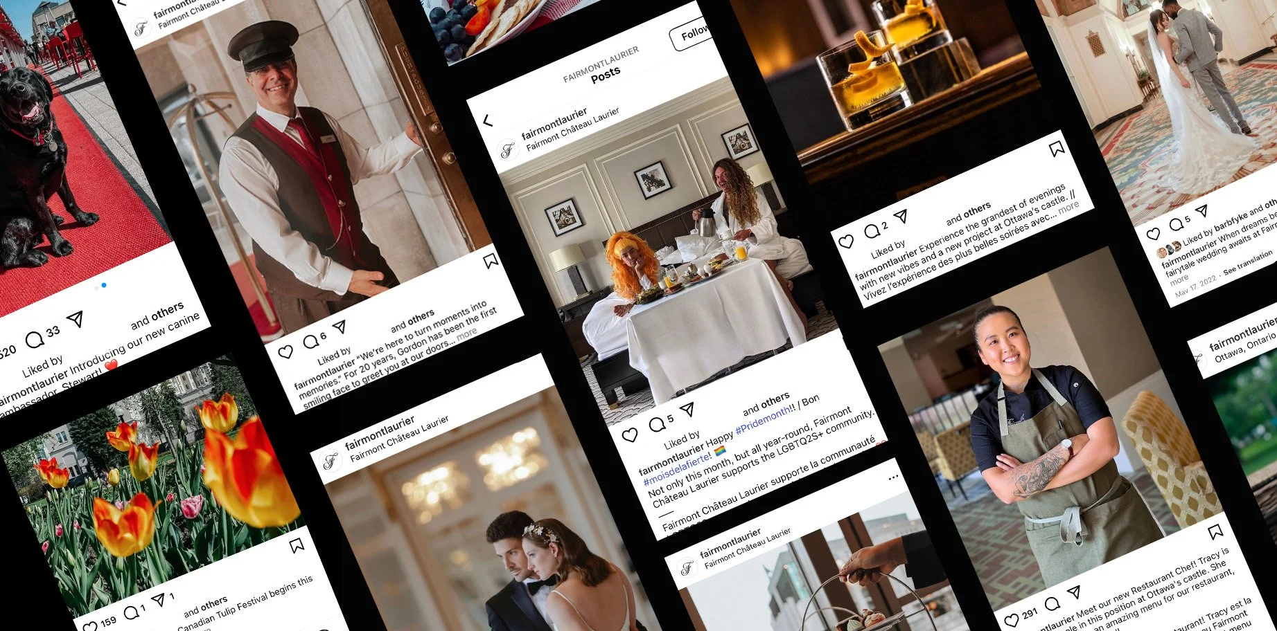 Collage of various Instagram posts from Fairmont Château Laurier, featuring images of a black dog on a red carpet, hotel staff in uniform, a breakfast setup, a couple in wedding attire, tulips, a person in an apron, and drinks. The posts are related to hotel events and promotions.