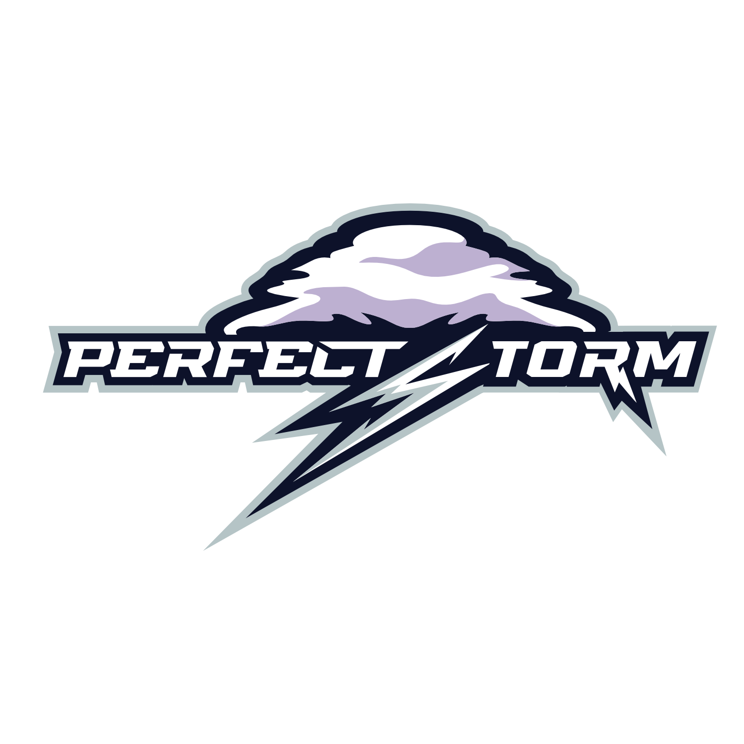 Image of Perfect Storm Logo