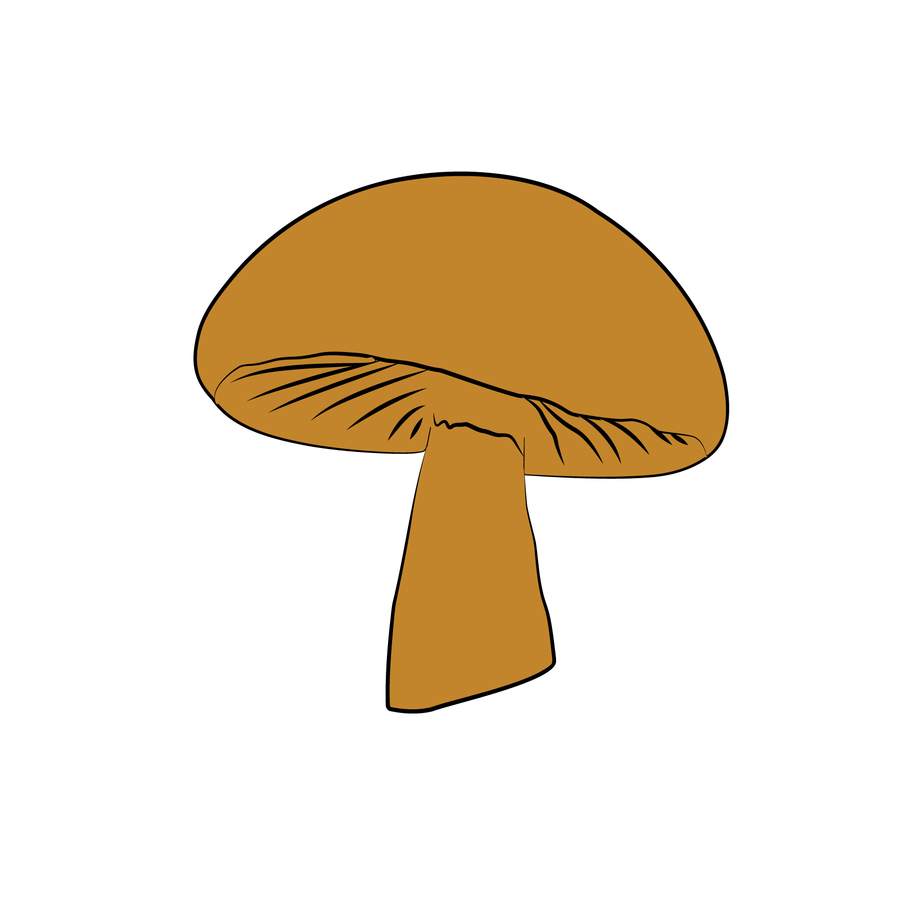 Theatrical Portfolio