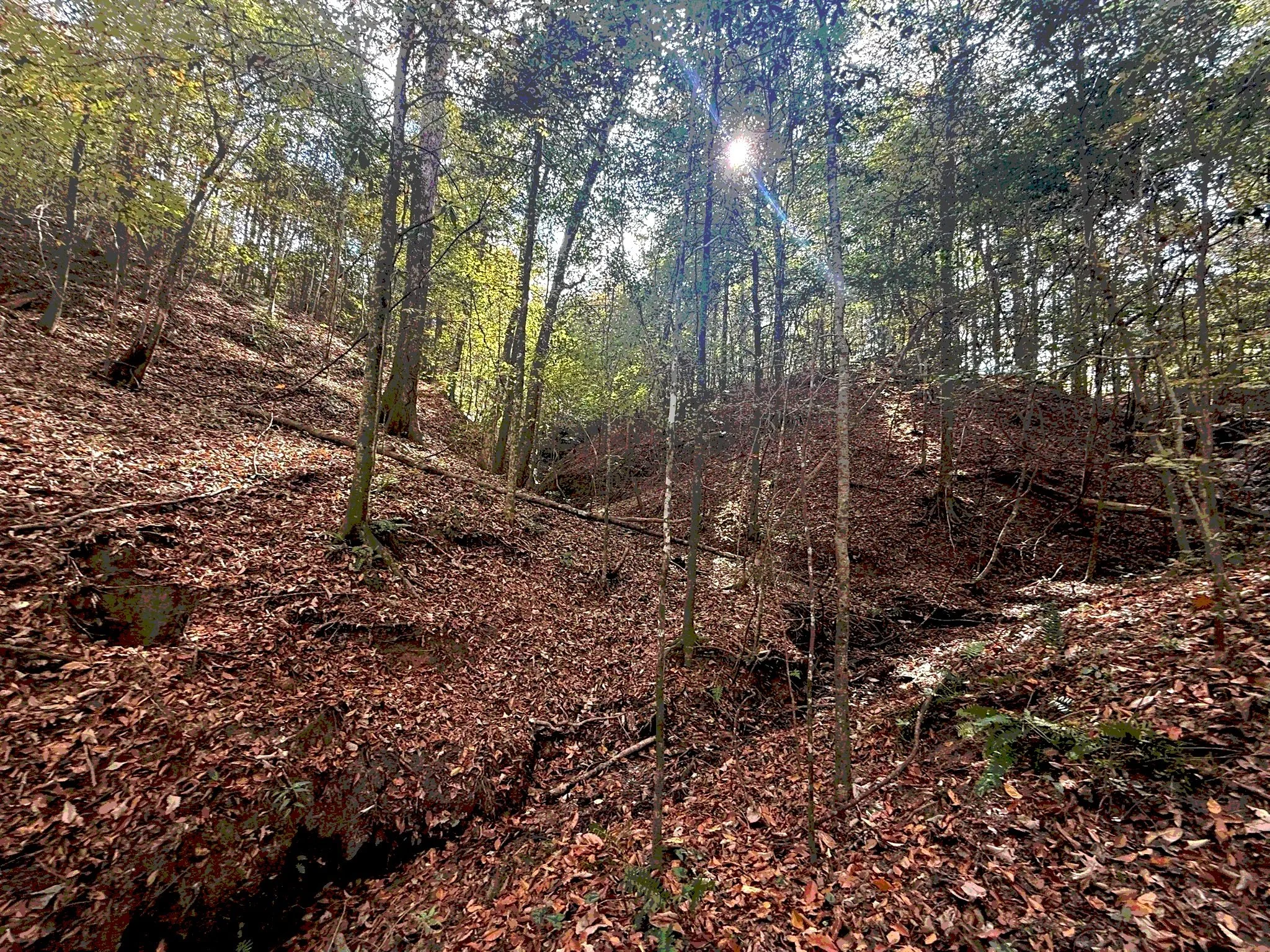 Old Charlie Site Picture