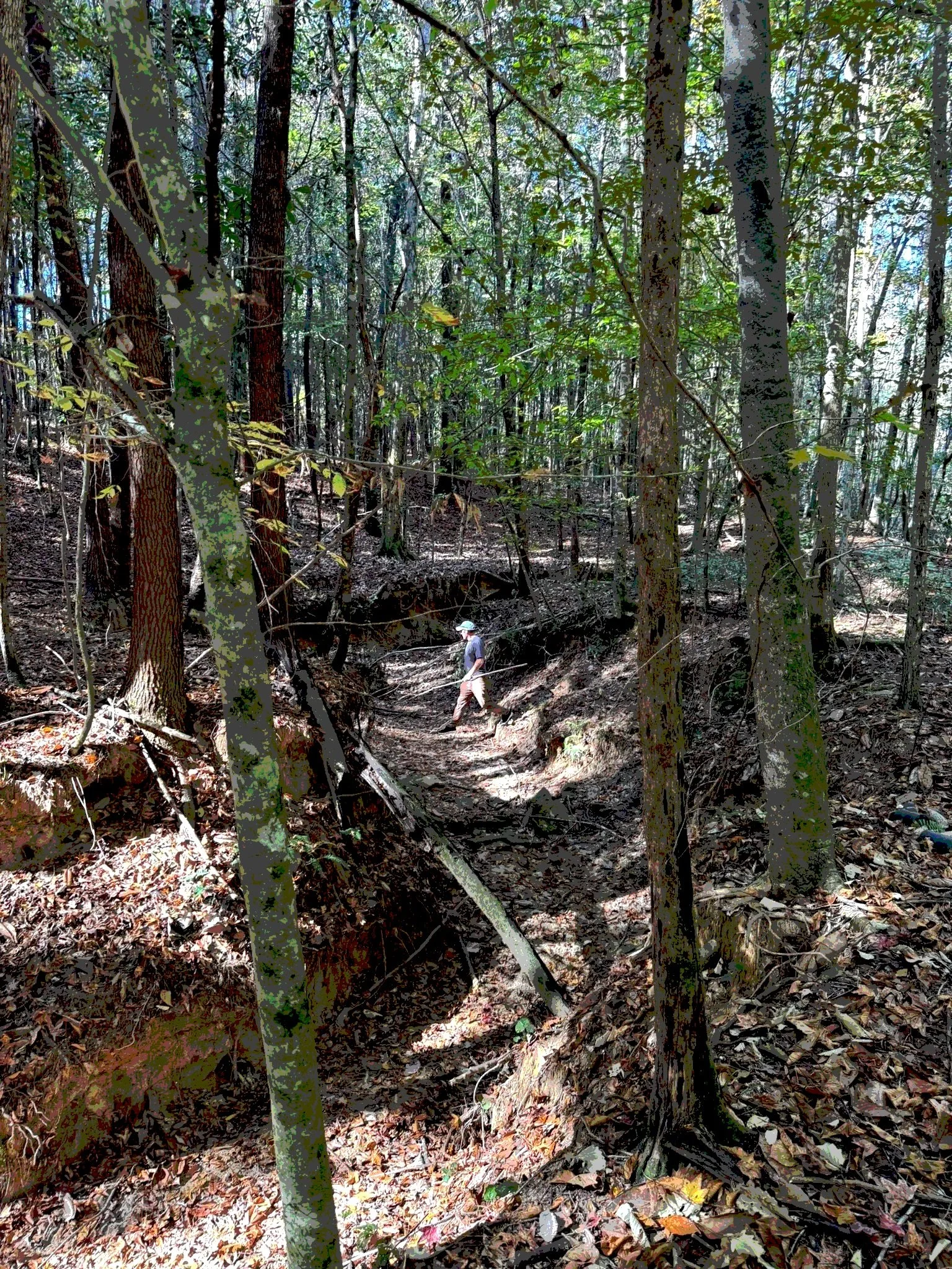 Old Charlie Site Picture