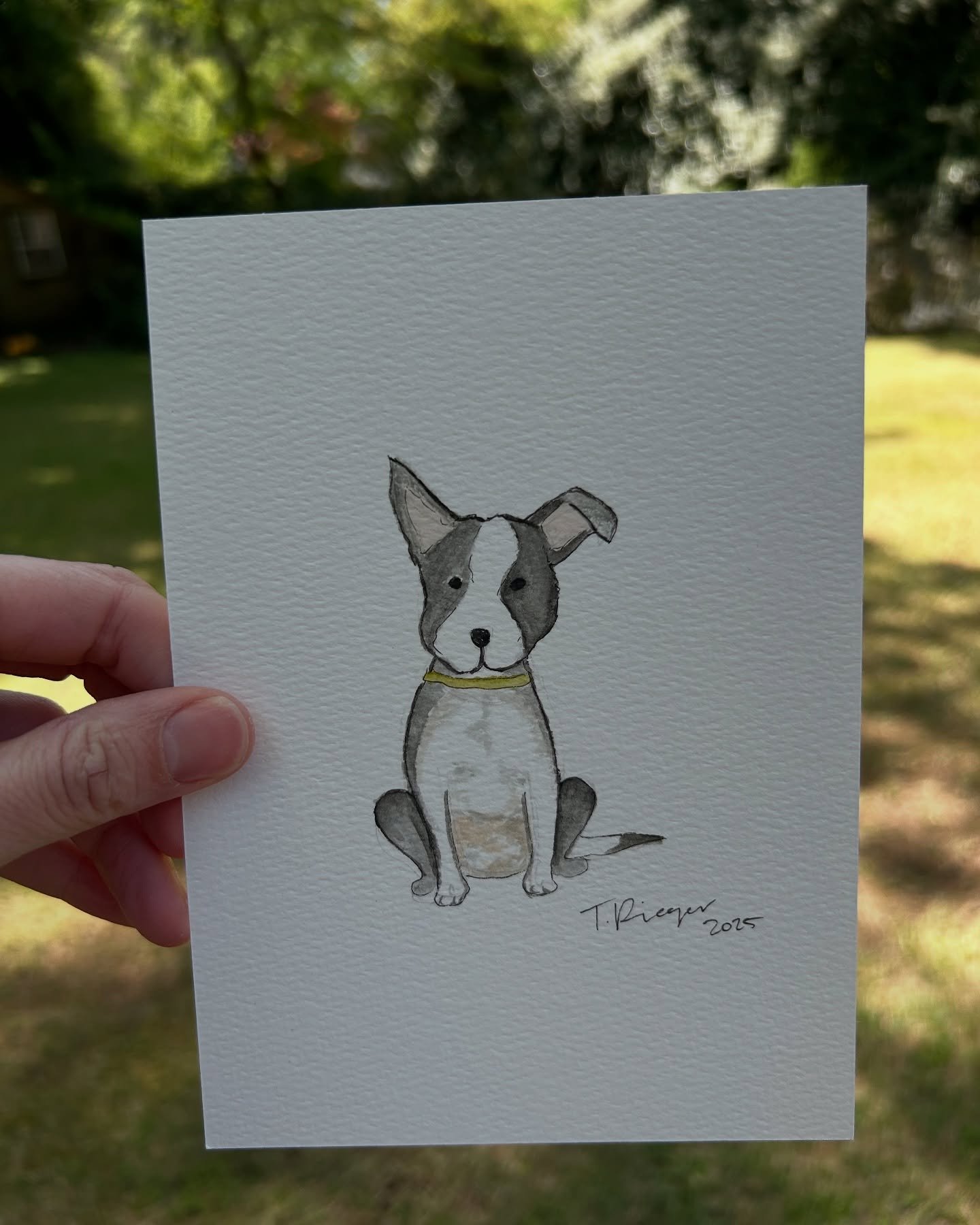 Calling all dog lovers! My next painting drop is custom dog portraits! Timeless watercolor pup portraits are so sweet and totally tail-wag-worthy.
 Join my email list to get notified before the drop goes live AND receive a discount code as a thank-yo