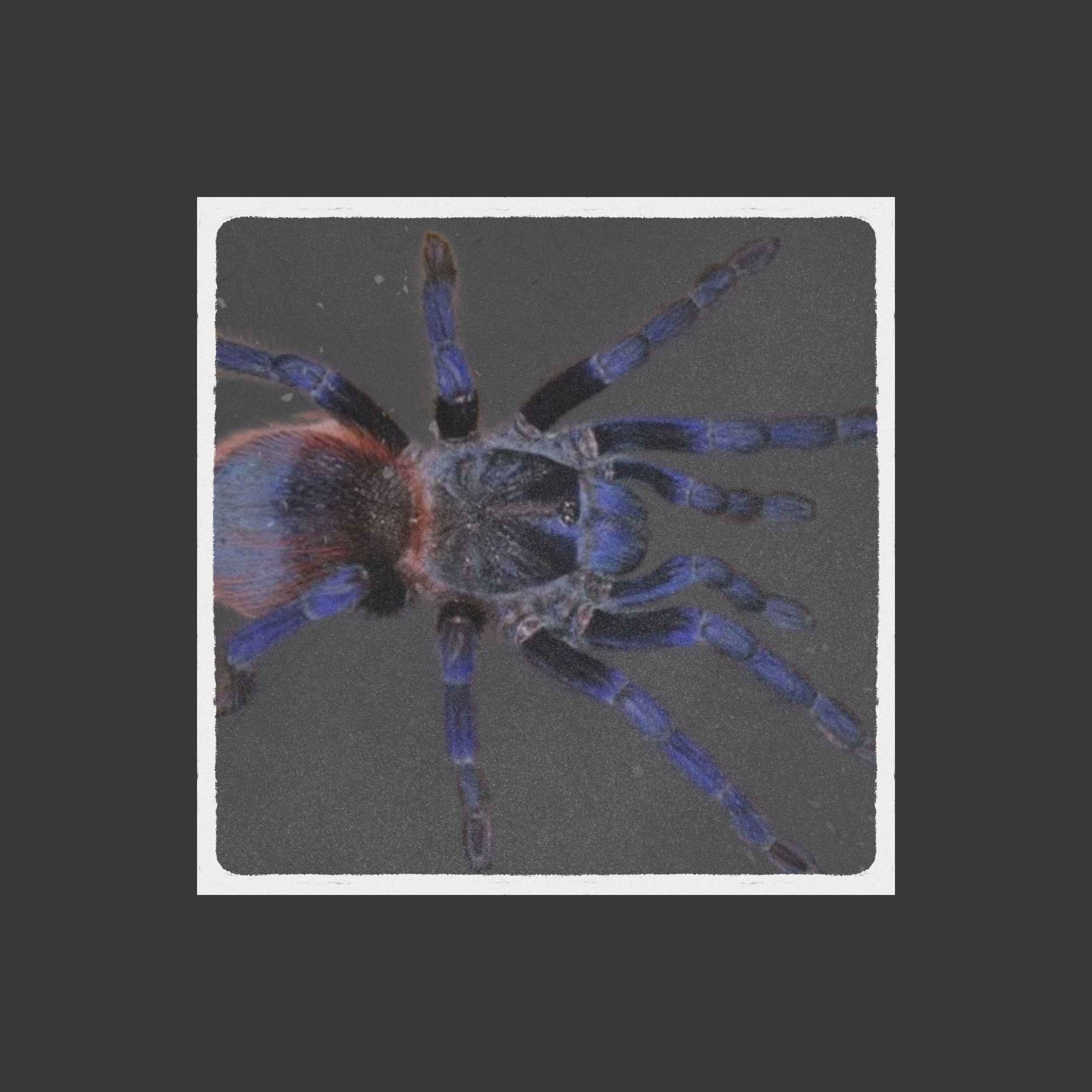 9.png