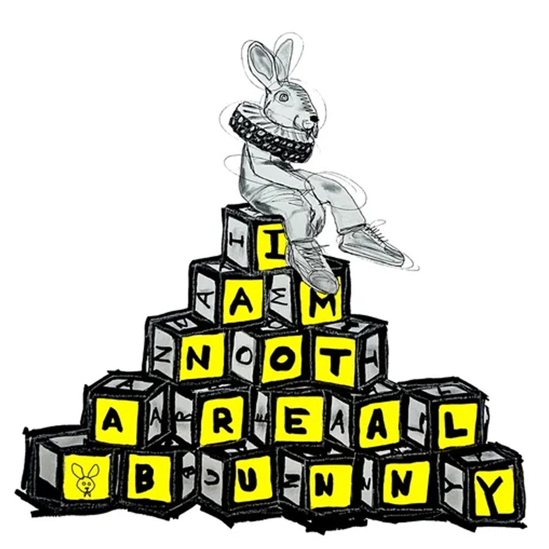 Illustration of a rabbit with a human body sitting on blocks spelling "I AM NOT A REAL BUNNY." The blocks are black with yellow letters, and there's a small bunny drawing on one block.