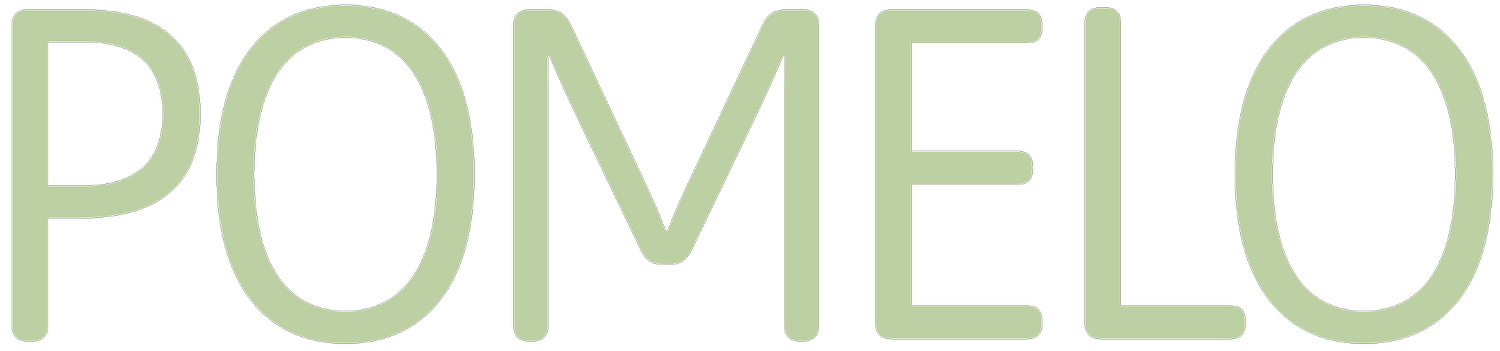 Los Angeles Creative Marketing &amp; Web Design Agency | Pomelo Creative Agency