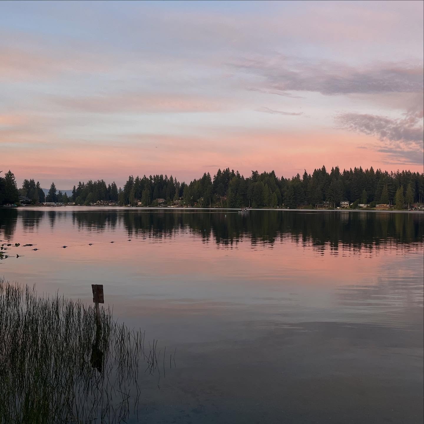 Sometimes healing begins with stillness. Just like ripples in the water, growth happens quietly … but it’s always moving forward.
We believe in creating space for reflection, calm, and meaningful connection. Whether it’s through b