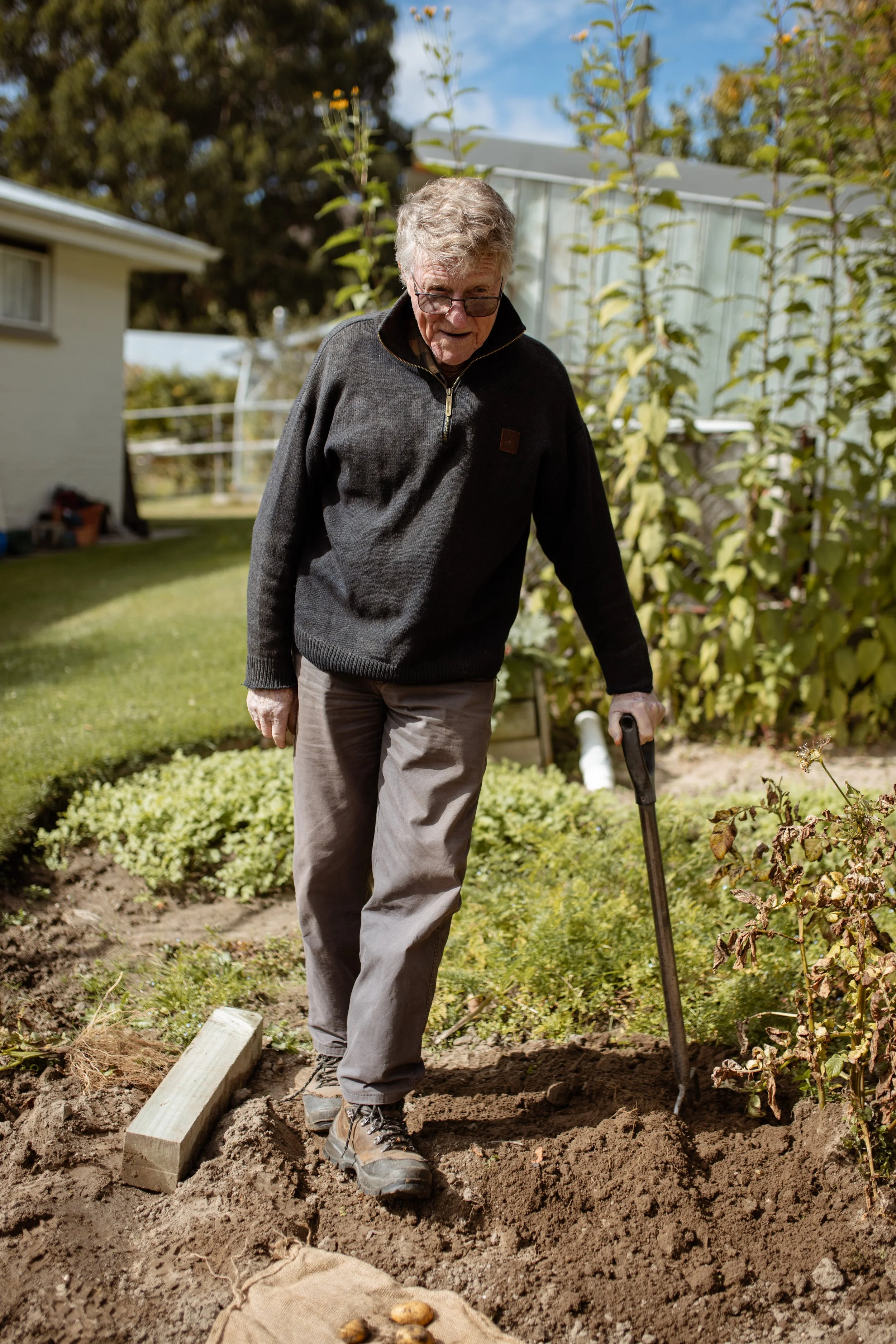 An elderly man with gray hair, glasses, and wearing a black jacket and beige pants, is gardening outdoors on a sunny day. He appears to be working in a flower bed with soil, using a hand tool. There are green plants and a white house with gardening supplies in the background.
