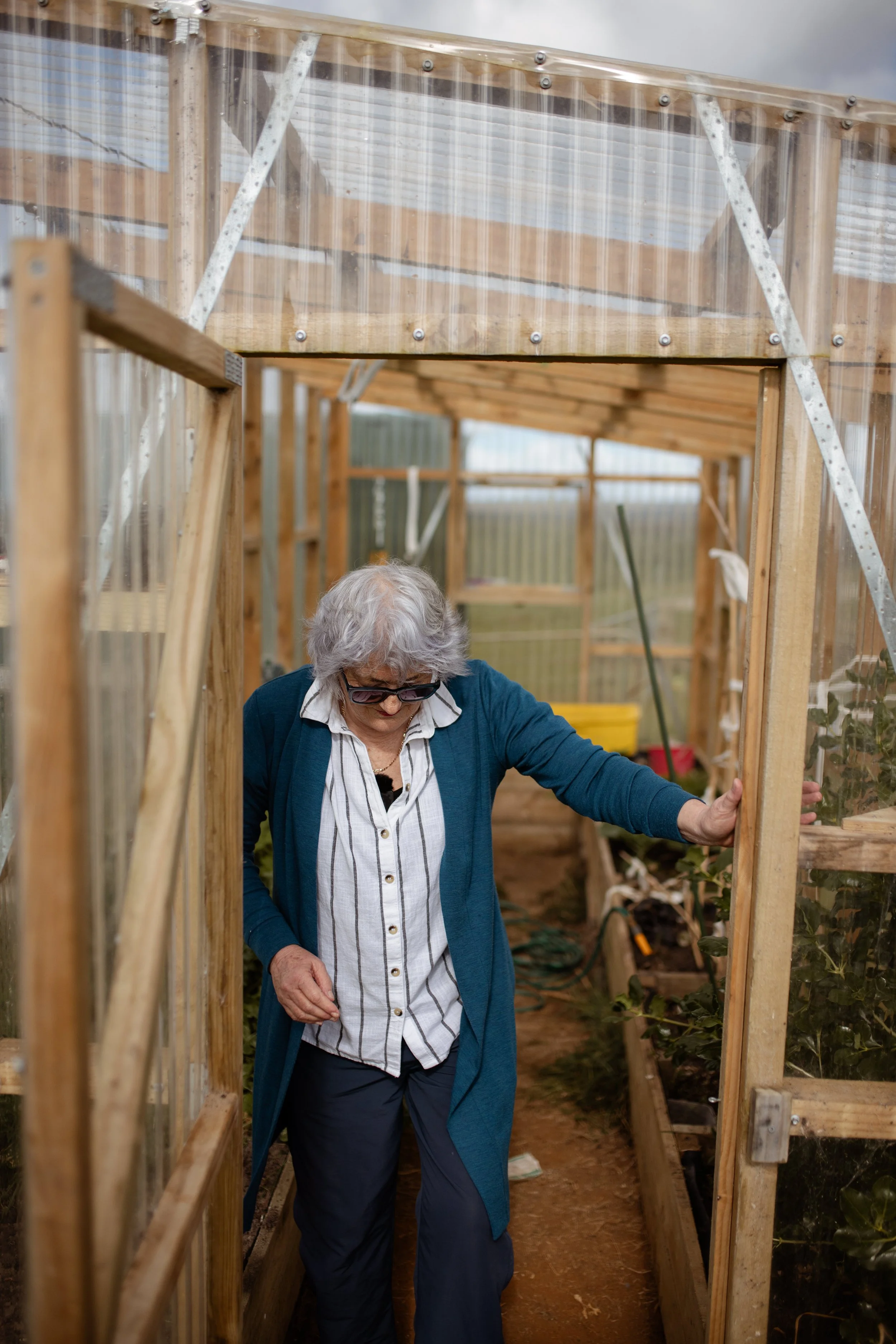 An elderly woman with gray hair, glasses, wearing a blue cardigan over a striped blouse, walking through a small greenhouse with wooden framing and clear plastic panels, tending to plants inside.
