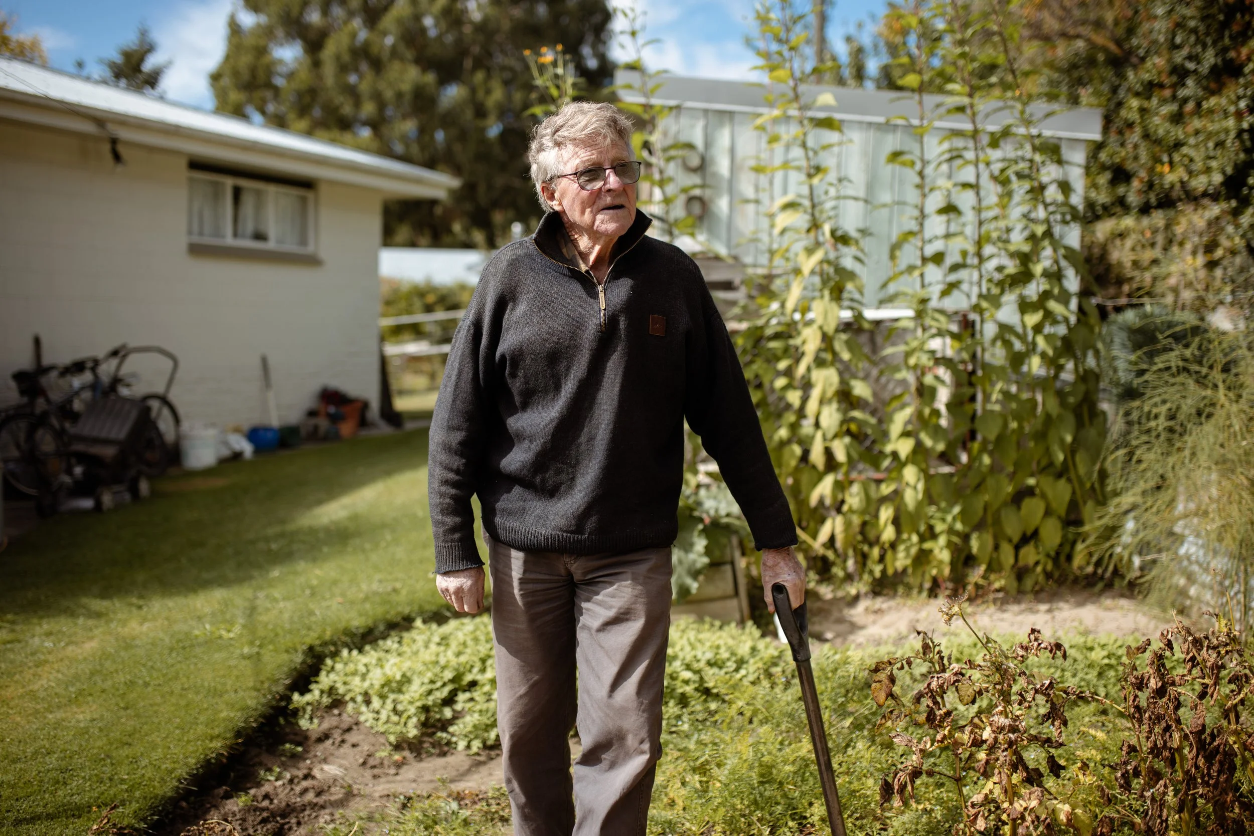 An elderly man with gray hair, wearing glasses, a black jacket, and beige pants, walking in a backyard garden with a gardening tool in hand. There are plants, a white house, and trees in the background.