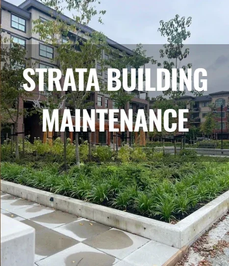 Sign reading 'Strata Building Maintenance' in front of landscaped area with trees and apartment buildings in the background.